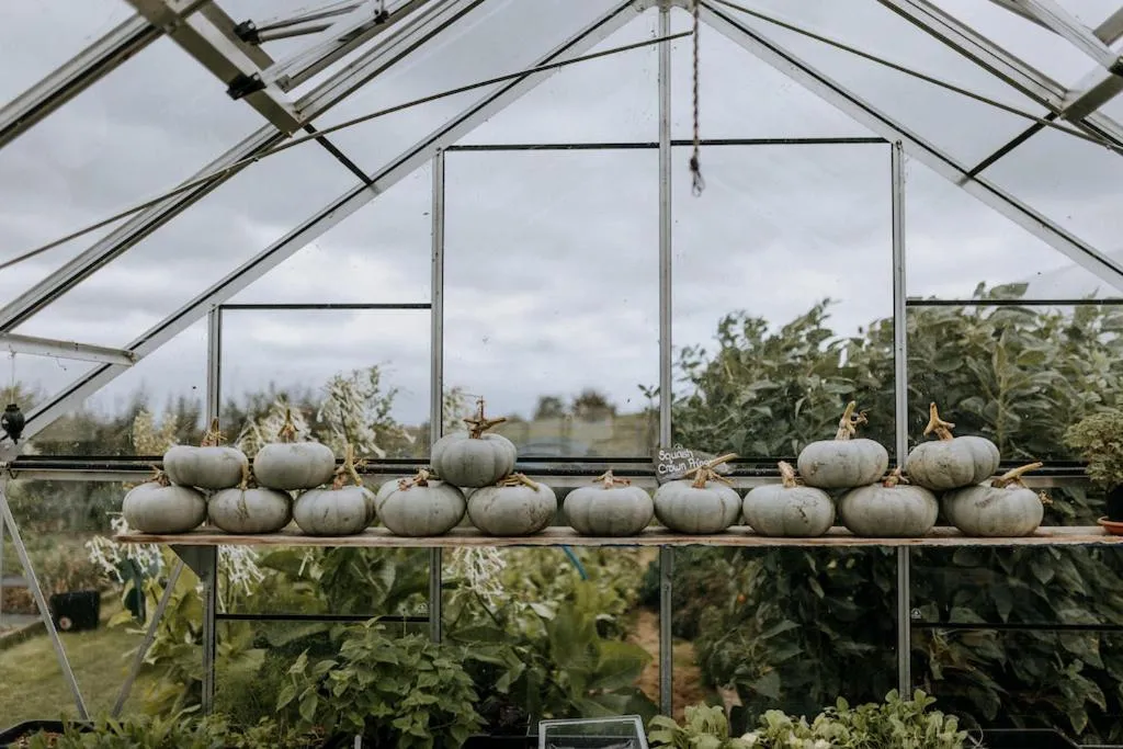 Garden in The Ferry House