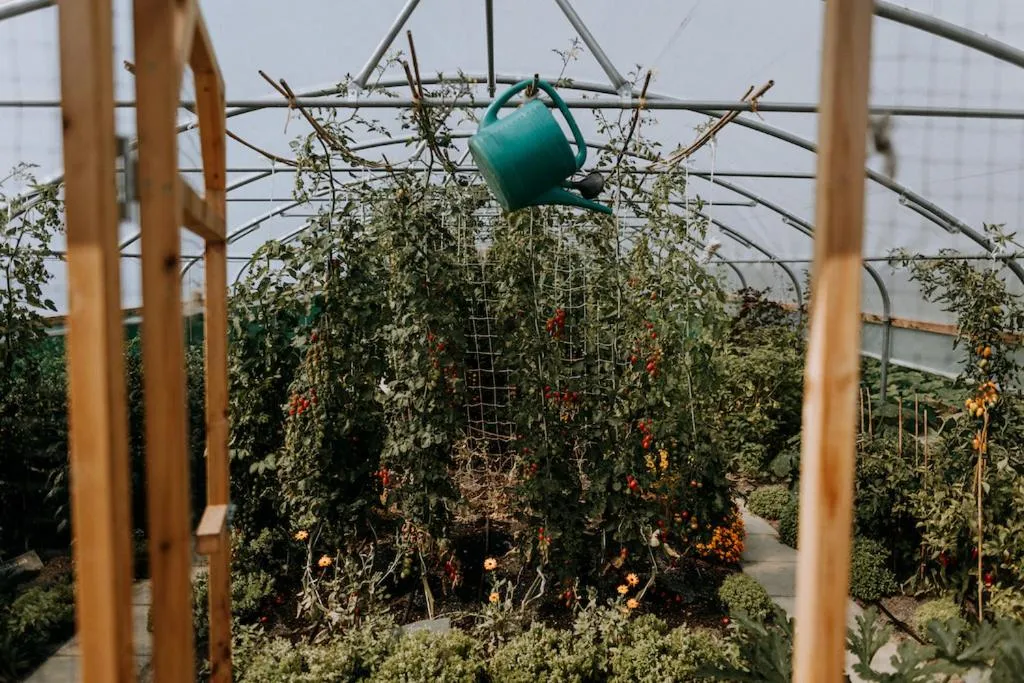 Garden in The Ferry House