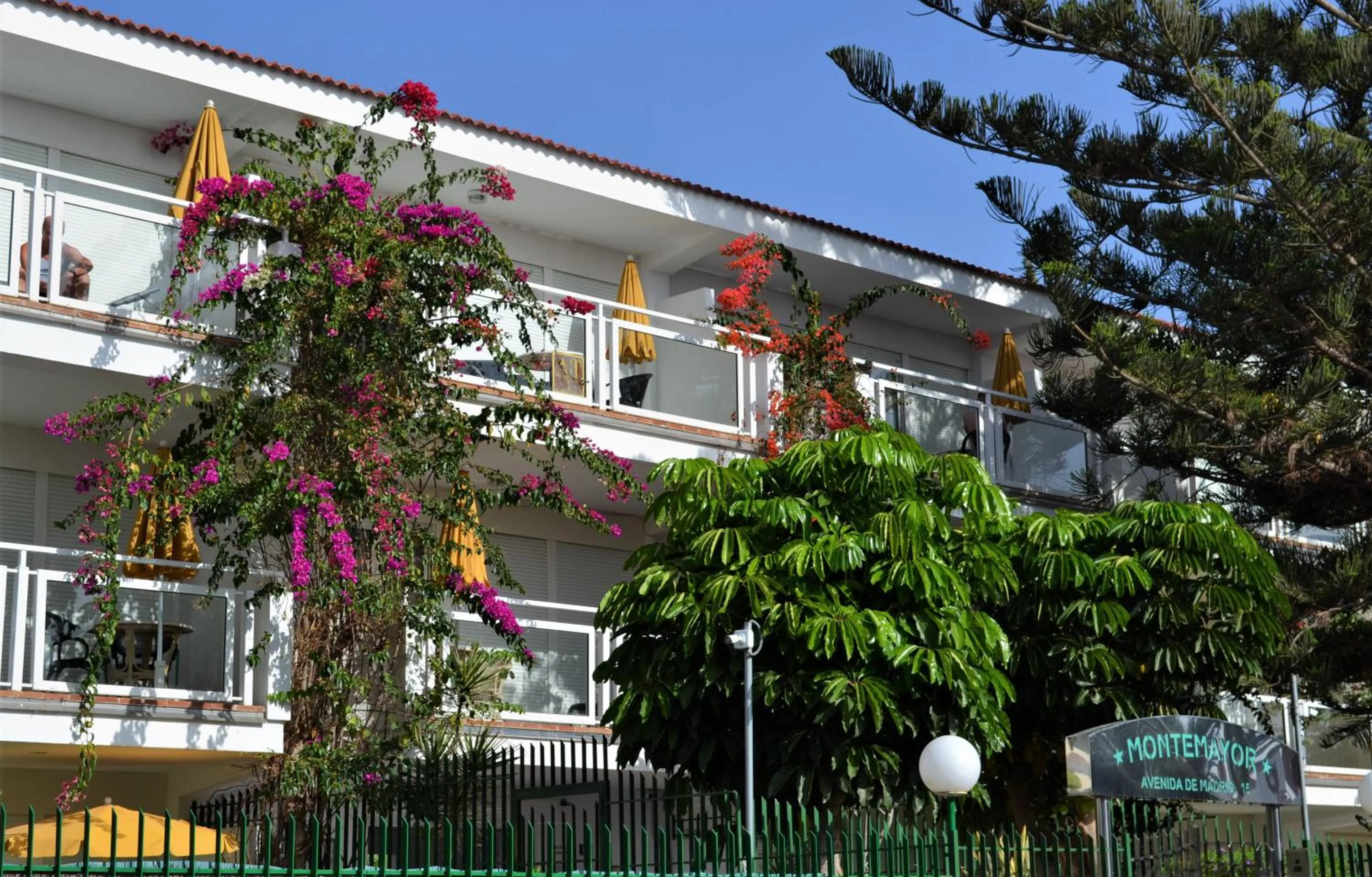 Facade/entrance in Apartamentos Montemayor