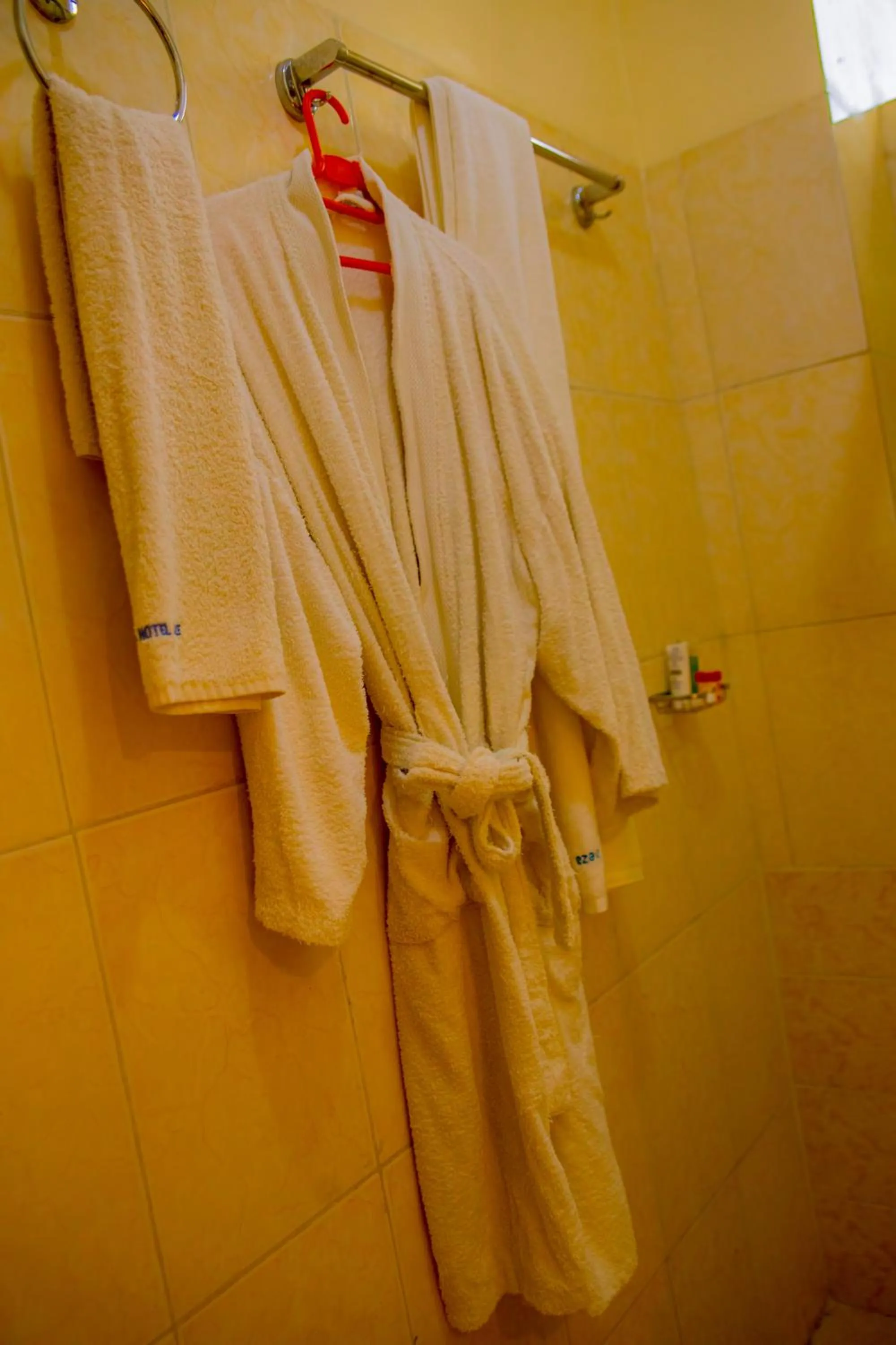 Ineza Hotel Musanze - Snow Hotel