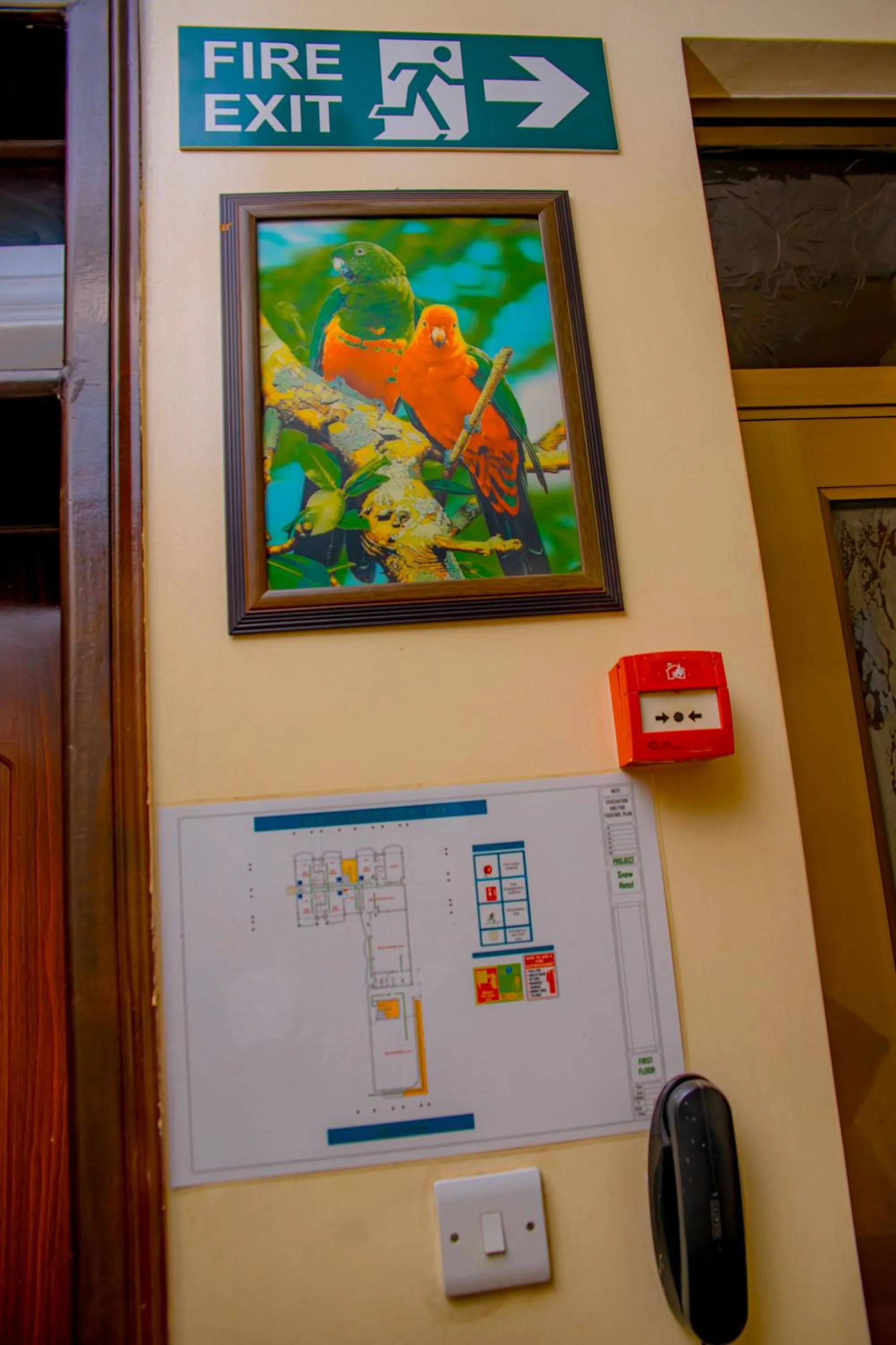 Ineza Hotel Musanze - Snow Hotel