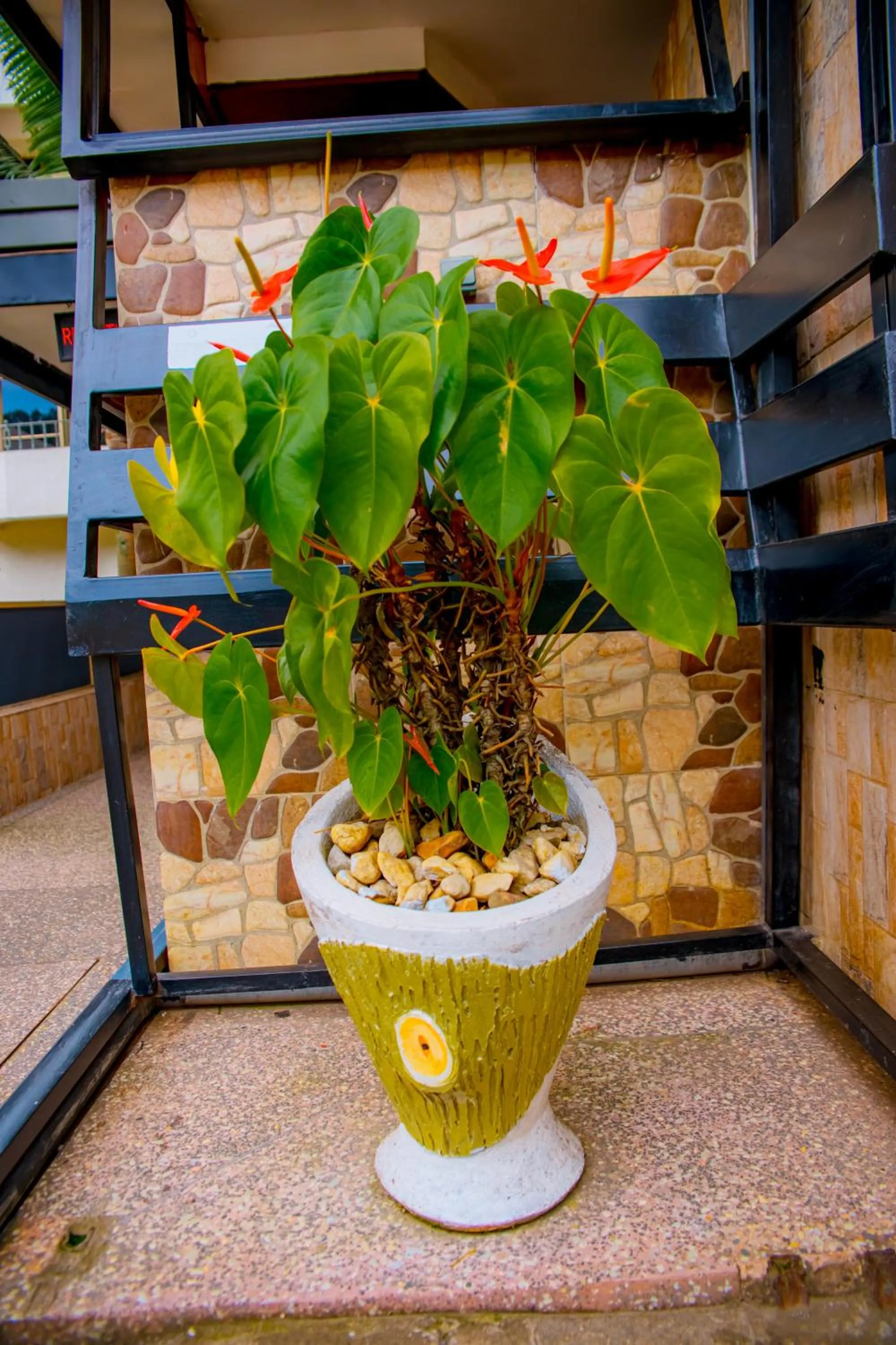 Ineza Hotel Musanze - Snow Hotel