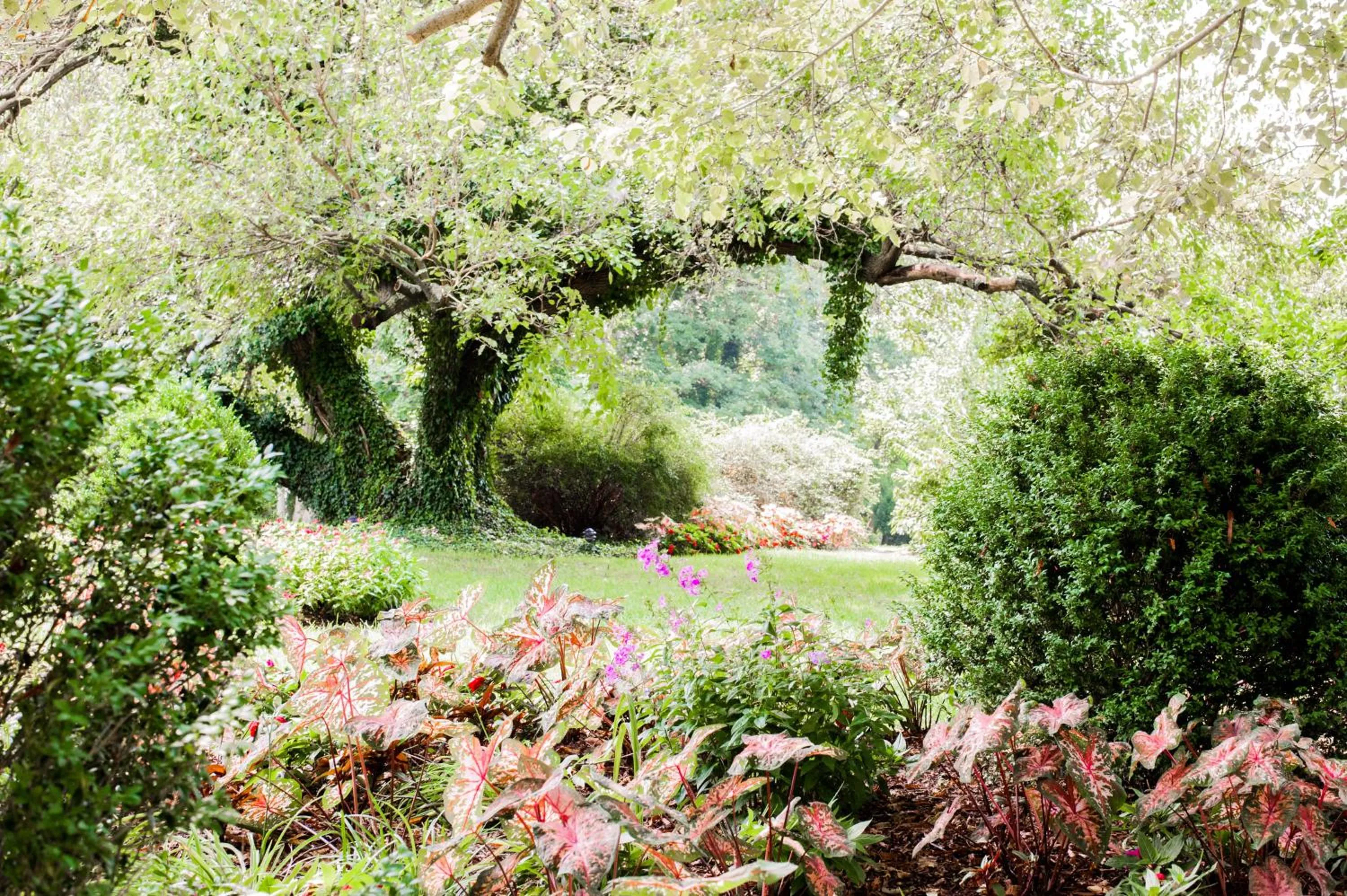 Garden in Antrim 1844