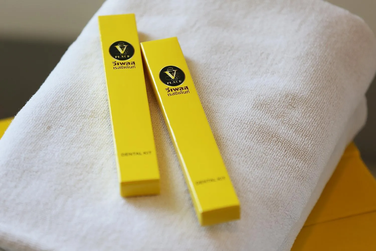 Property logo or sign in V Place Residence