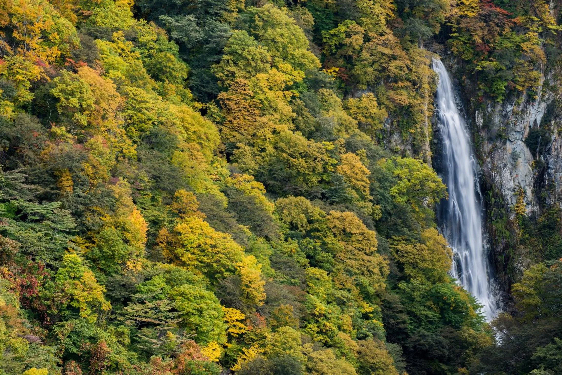 Natural landscape in Shibu Onsen Koishiya Ryokan
