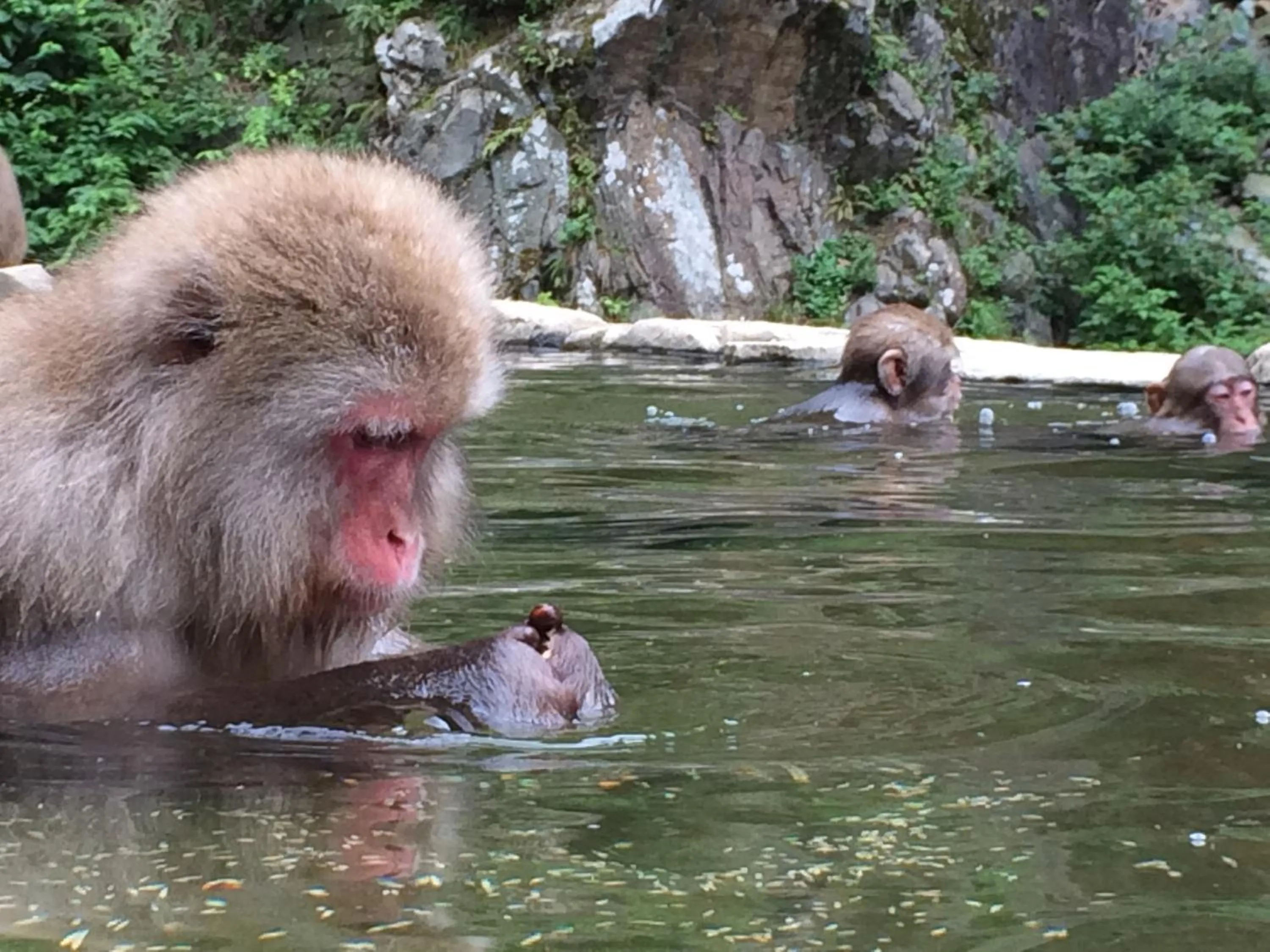 Off site in Shibu Onsen Koishiya Ryokan