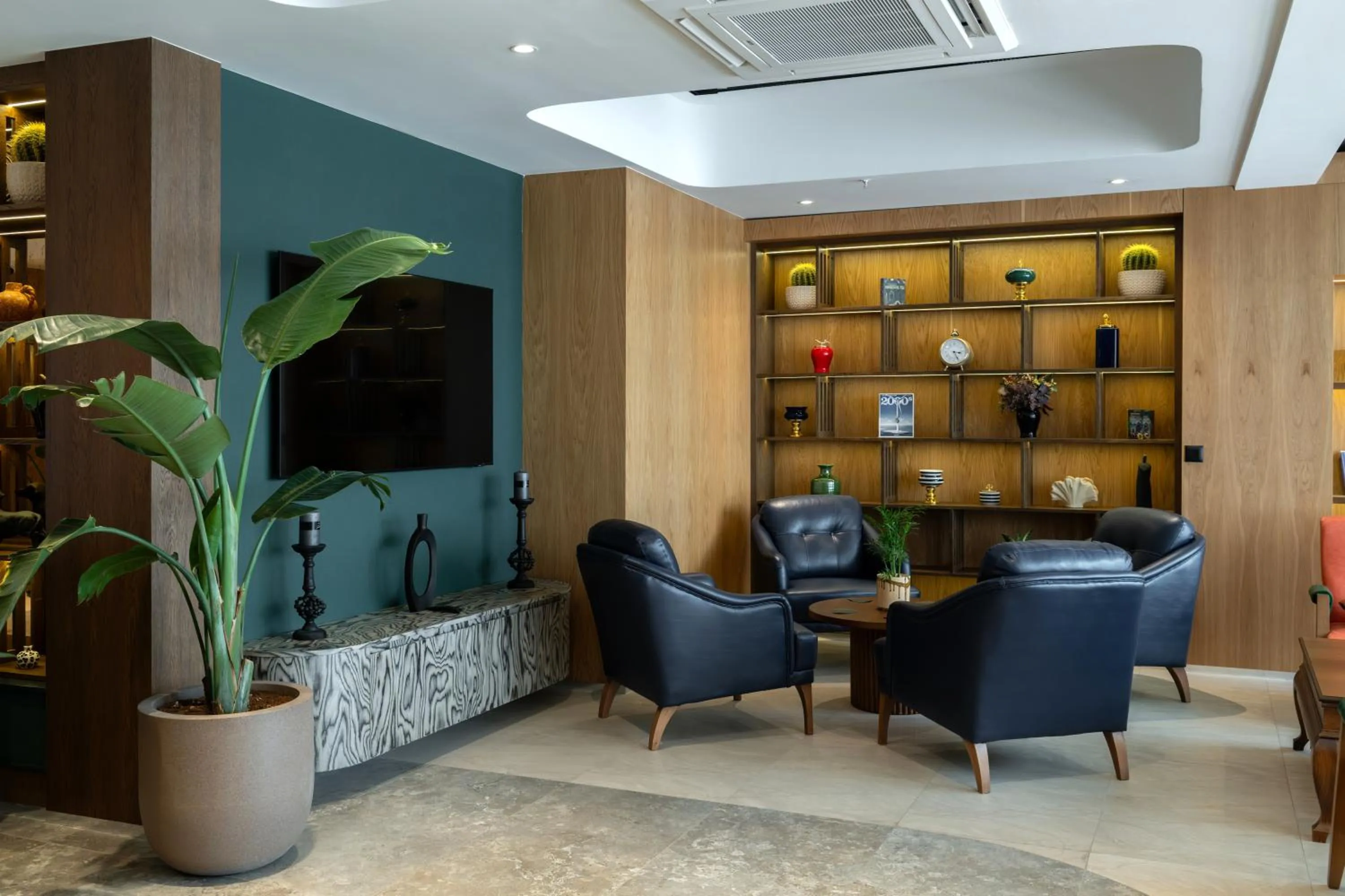 TV and multimedia in Alves Hotel