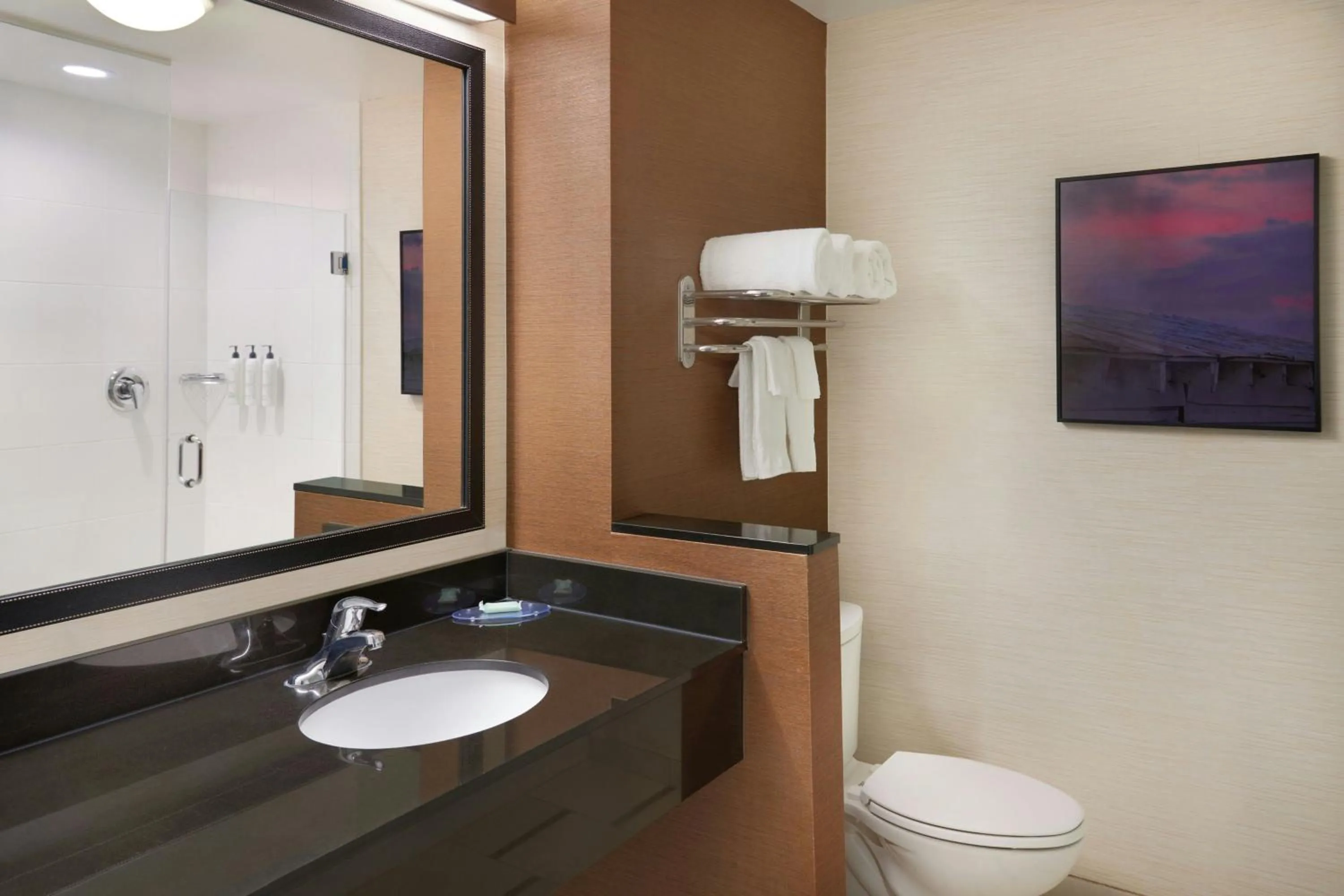 Bathroom in Fairfield Inn & Suites by Marriott Reading Wyomissing