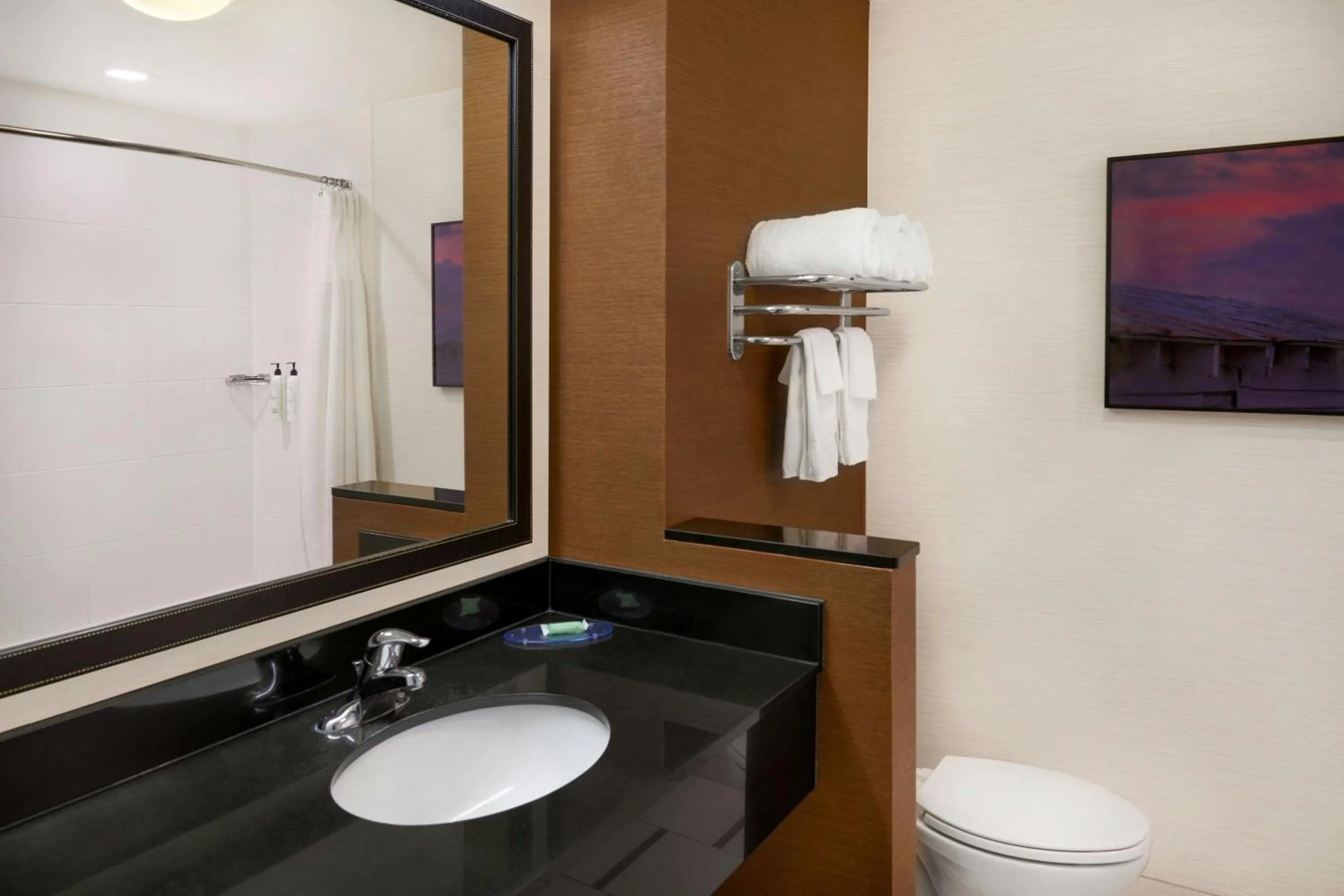 Bathroom in Fairfield Inn & Suites by Marriott Reading Wyomissing