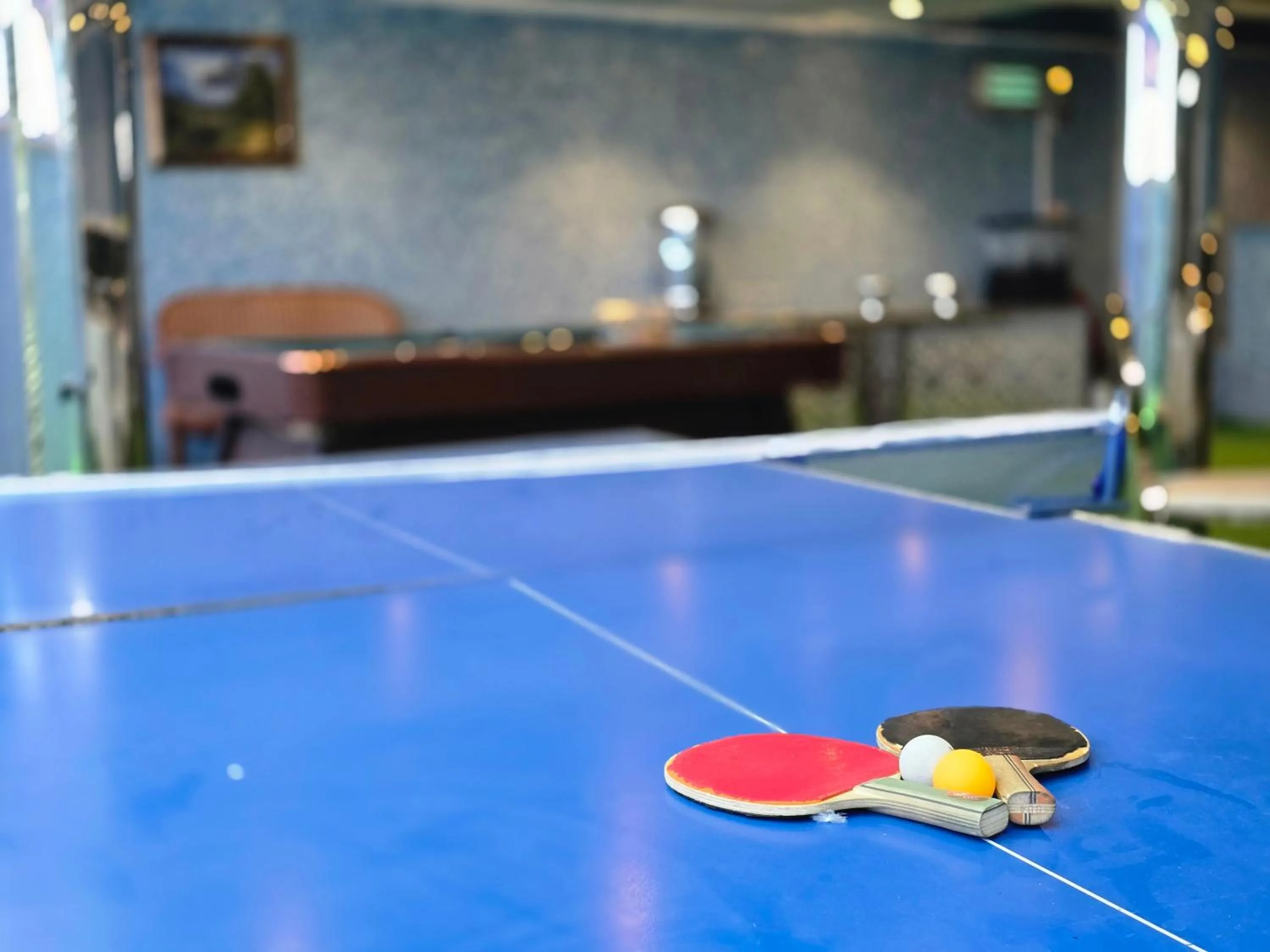 Table tennis in Taj Celine Hotel