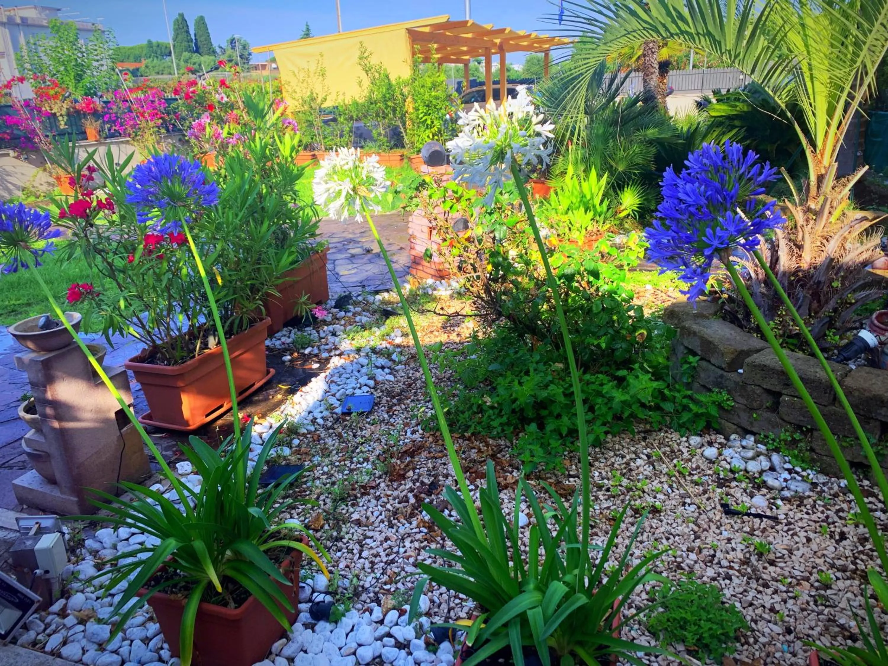 Day in Il Giardino Di Adriana