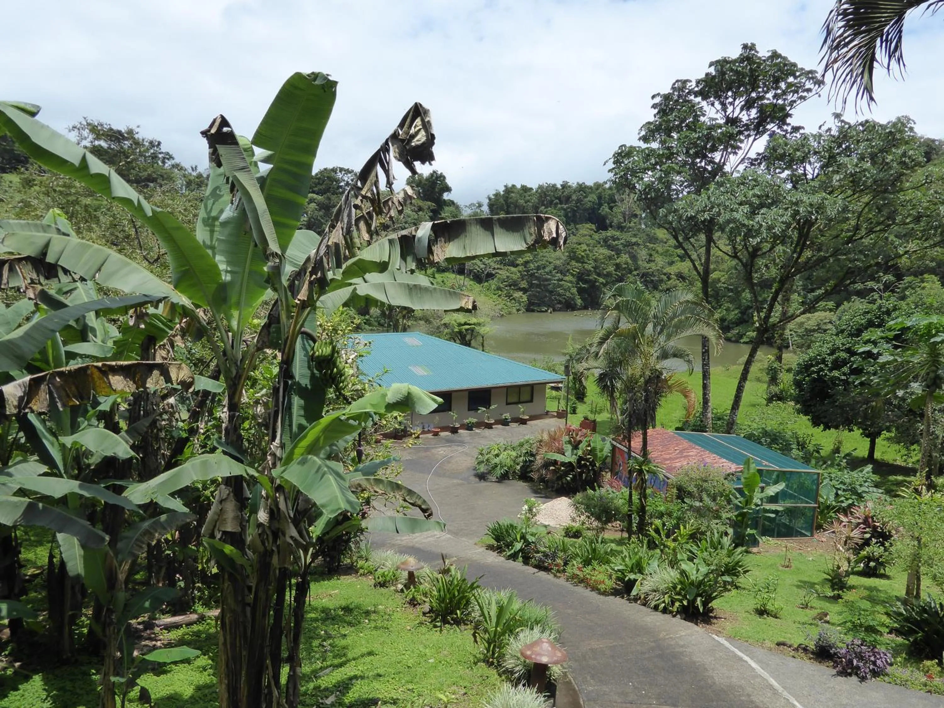 Lucky Bug Bed And Breakfast