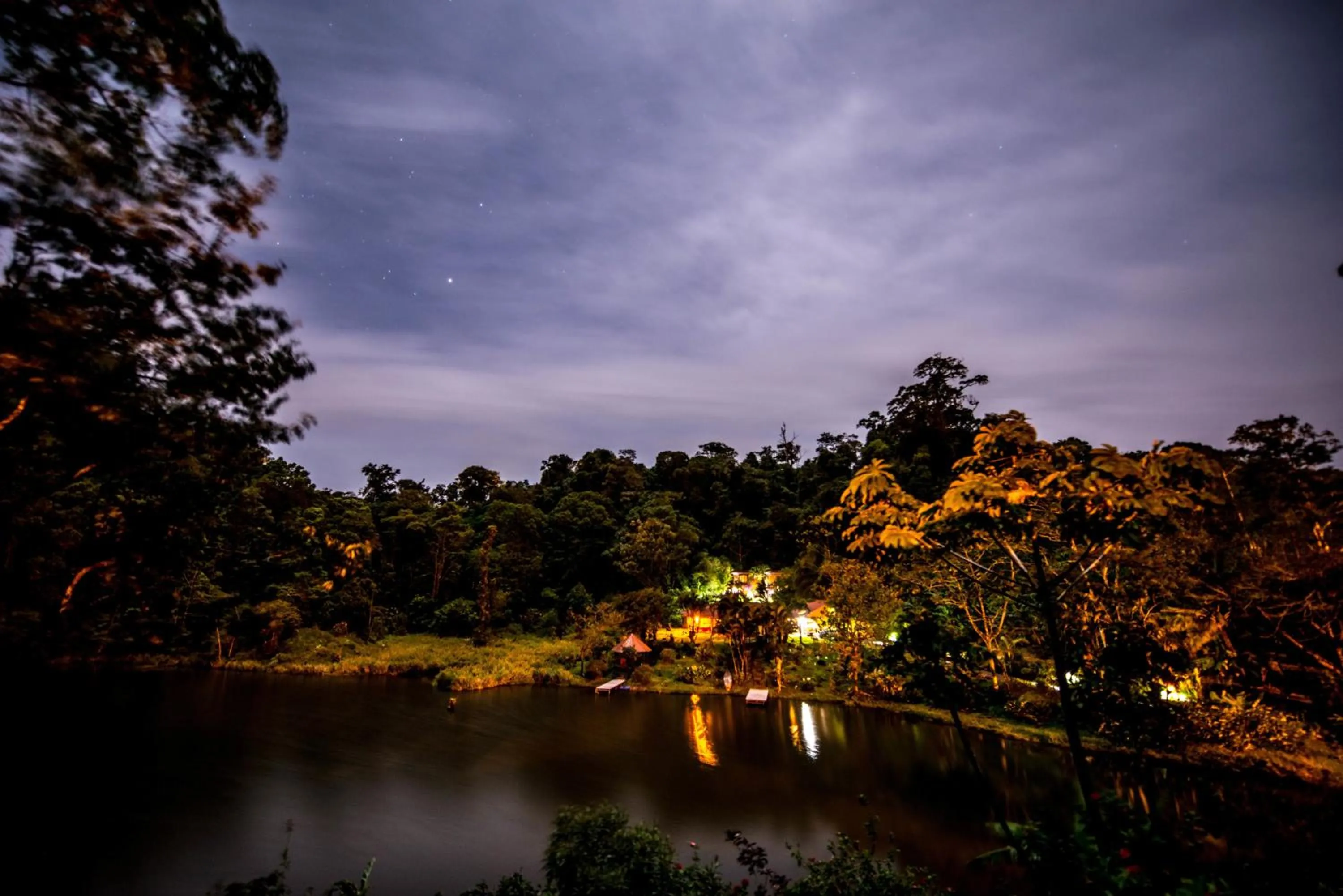 Garden view in Lucky Bug Bed And Breakfast