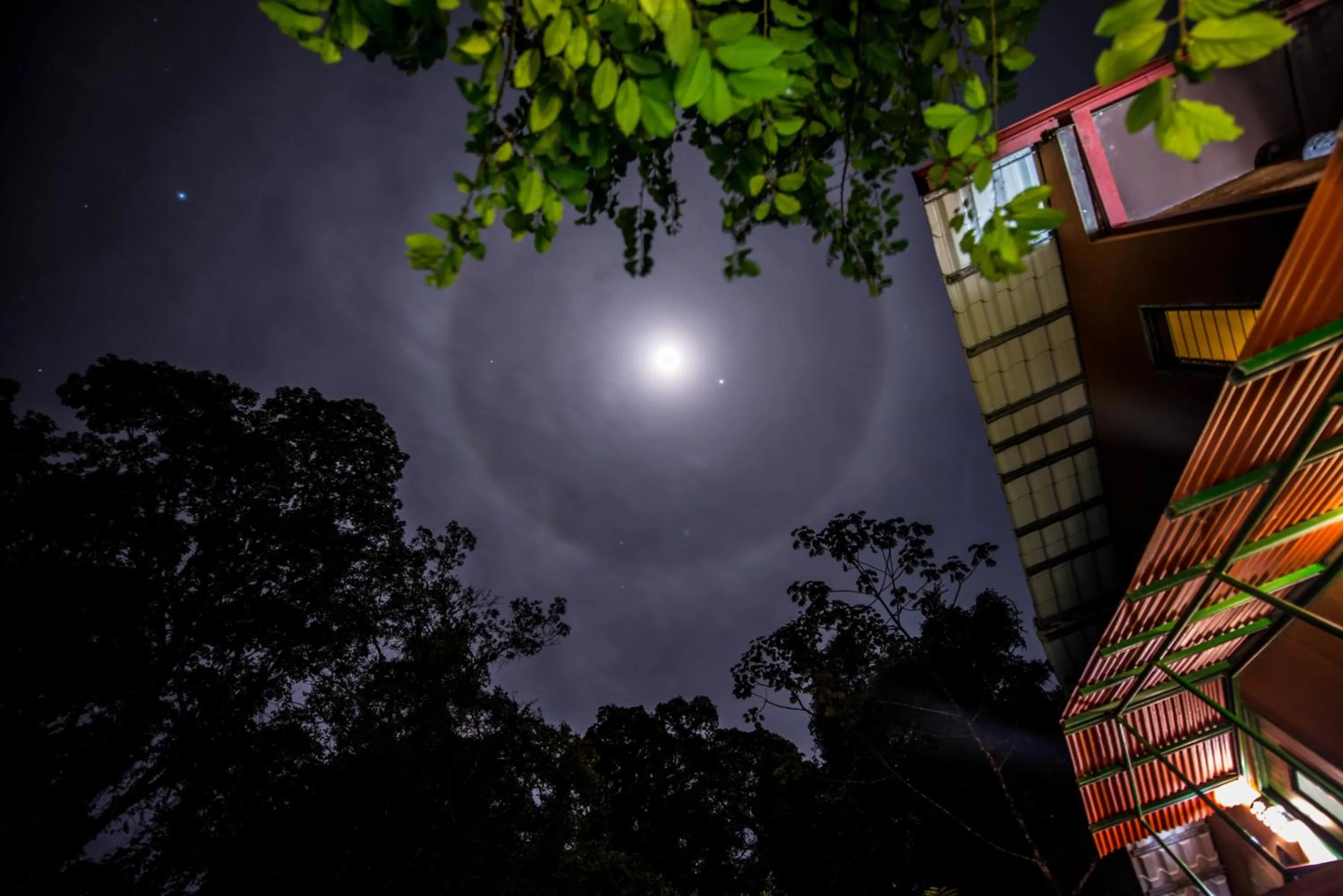 View (from property/room) in Lucky Bug Bed And Breakfast