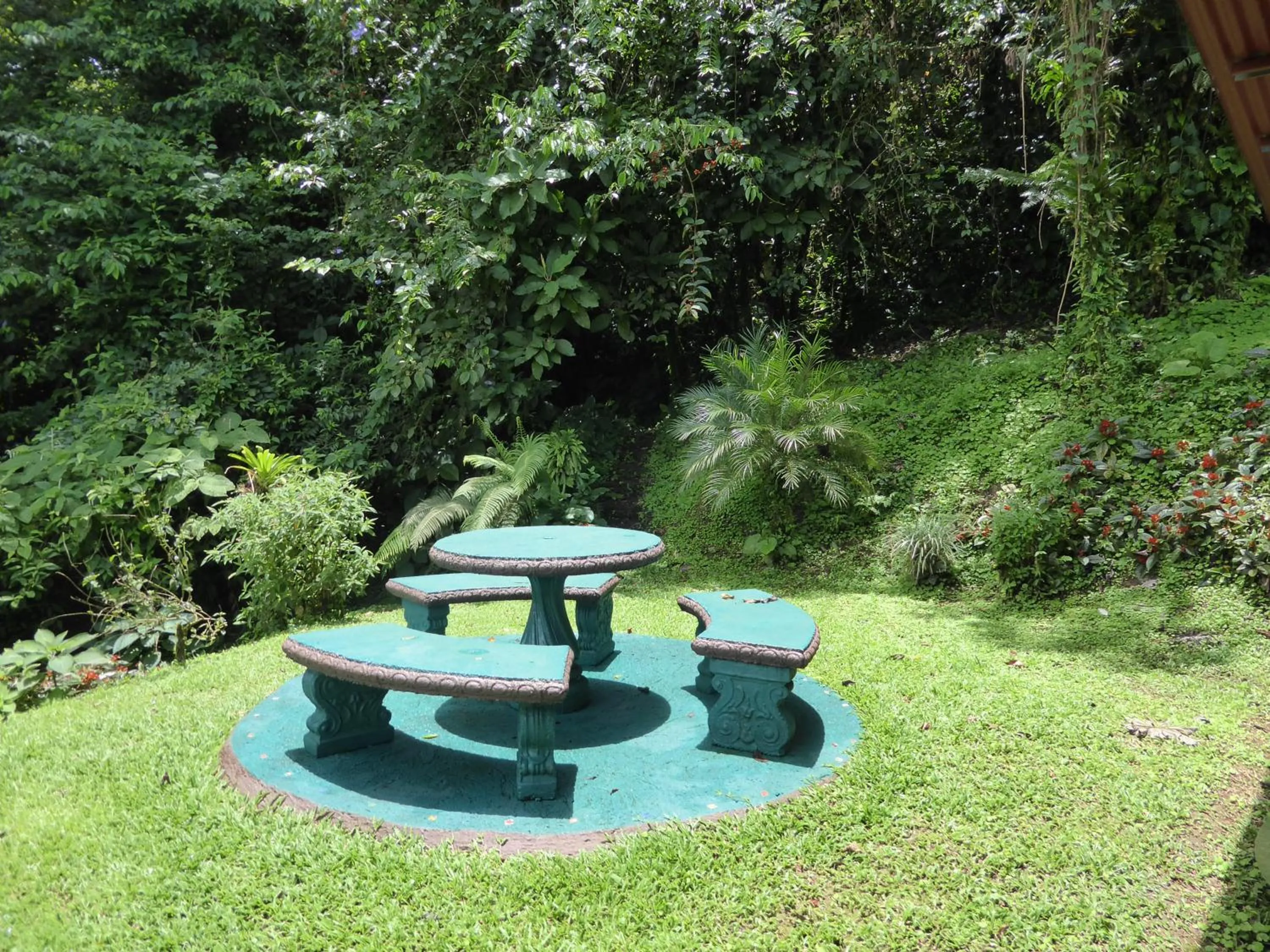 Natural landscape in Lucky Bug Bed And Breakfast