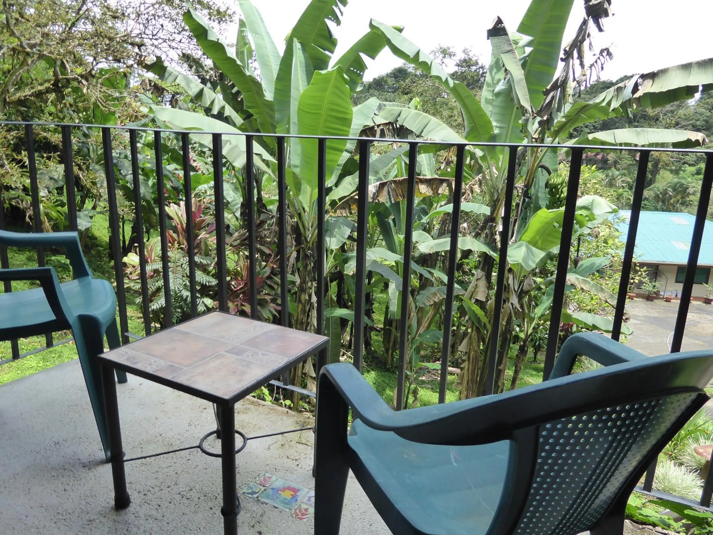 Garden in Lucky Bug Bed And Breakfast