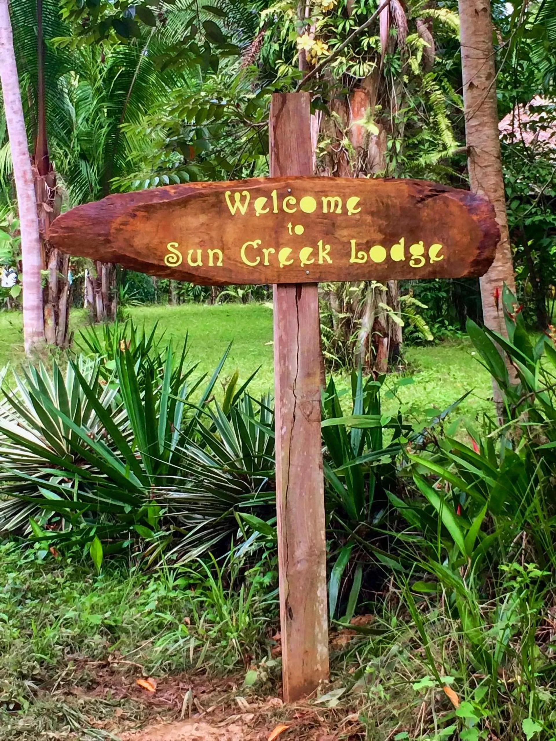 Property building in Sun Creek Lodge