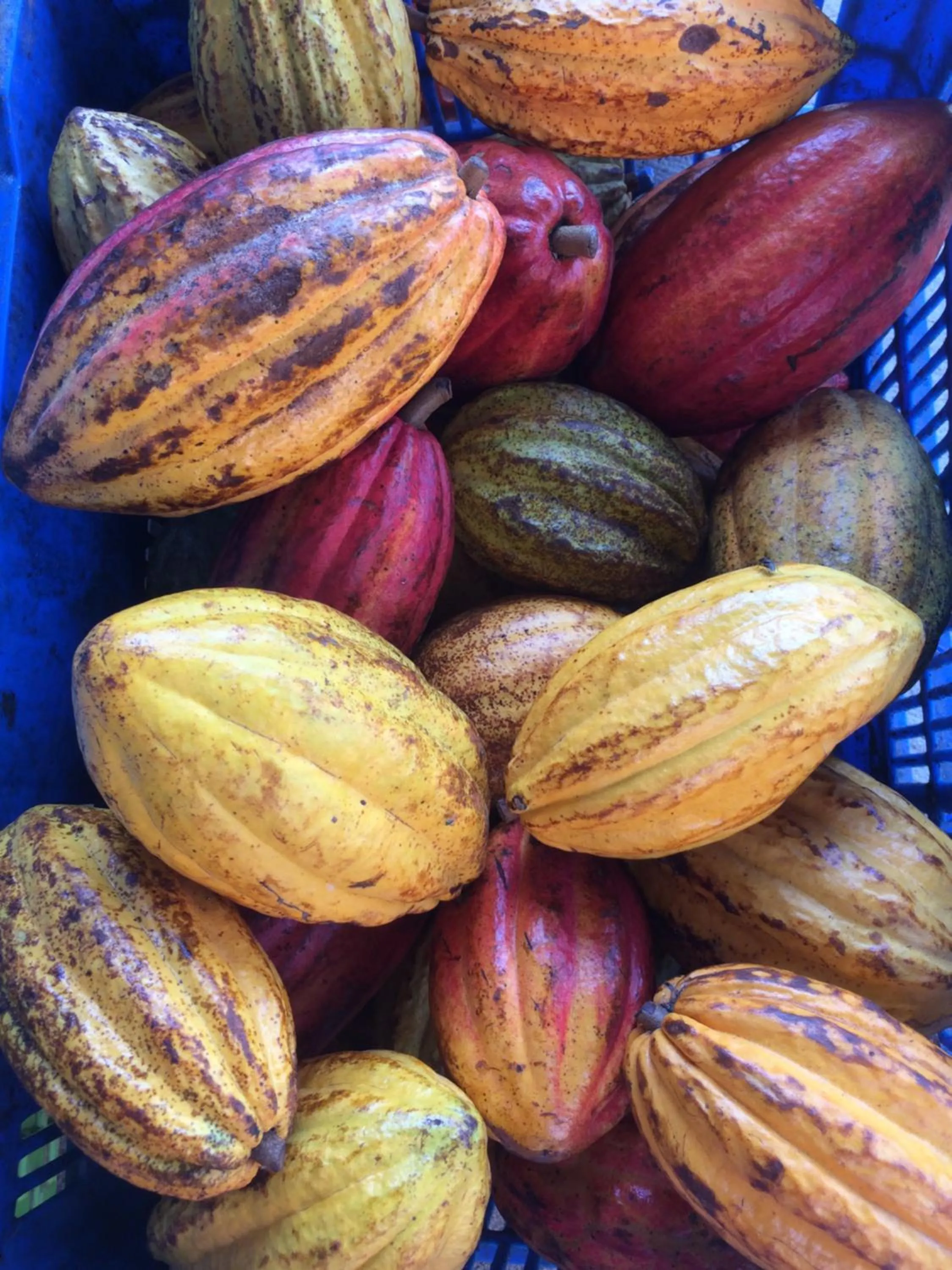 Decorative detail in Sun Creek Lodge