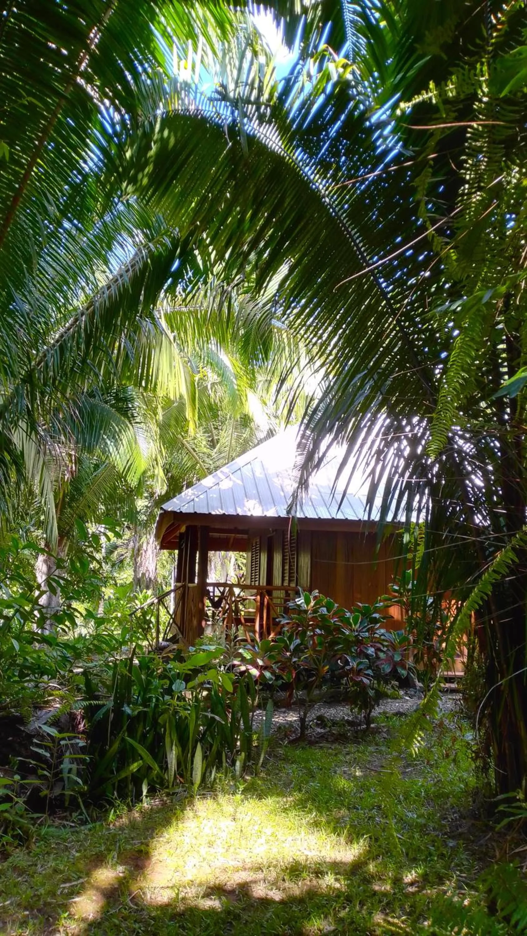 Property building in Sun Creek Lodge