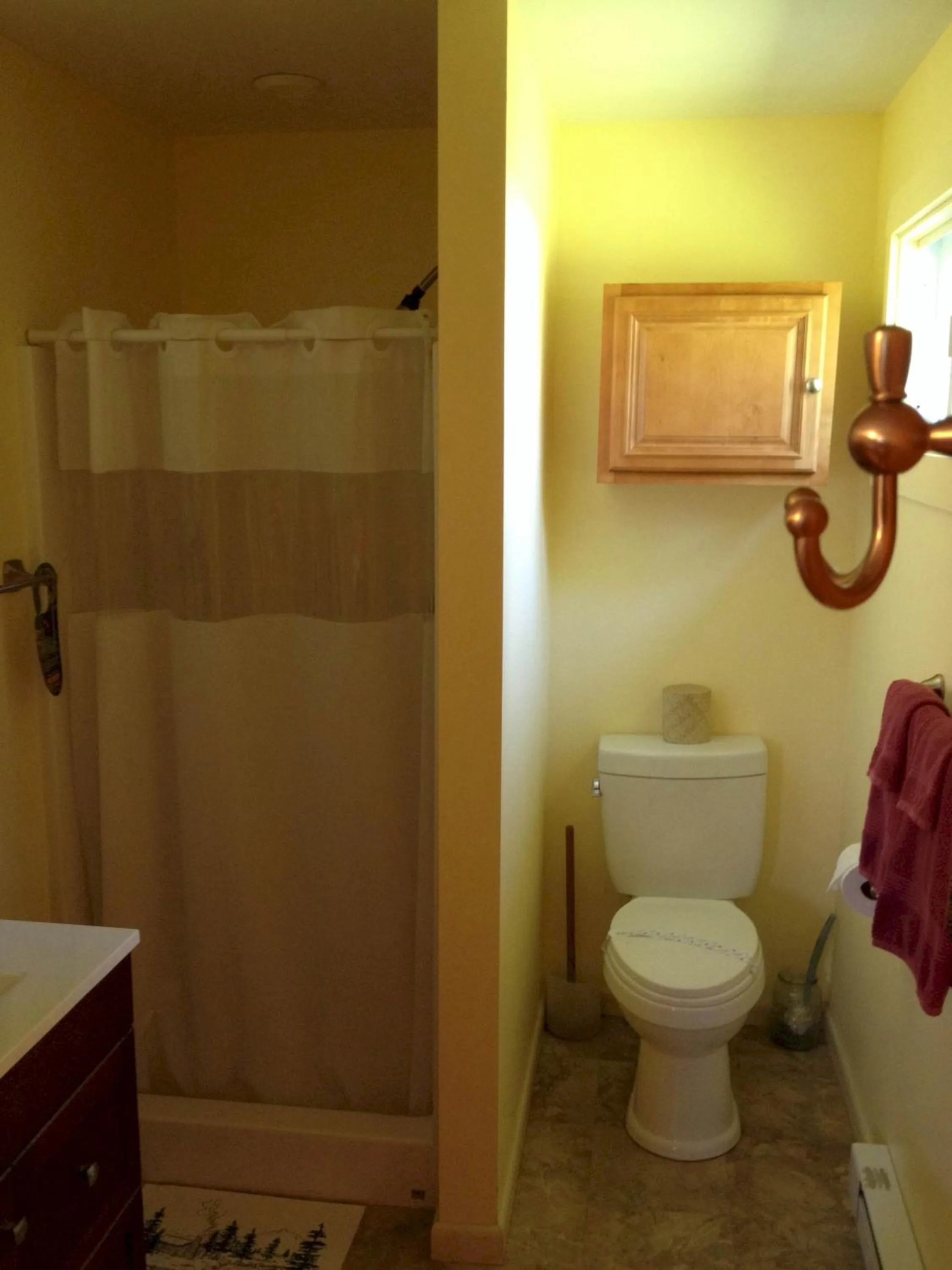 Bathroom in Lakeview Motel & Apartments