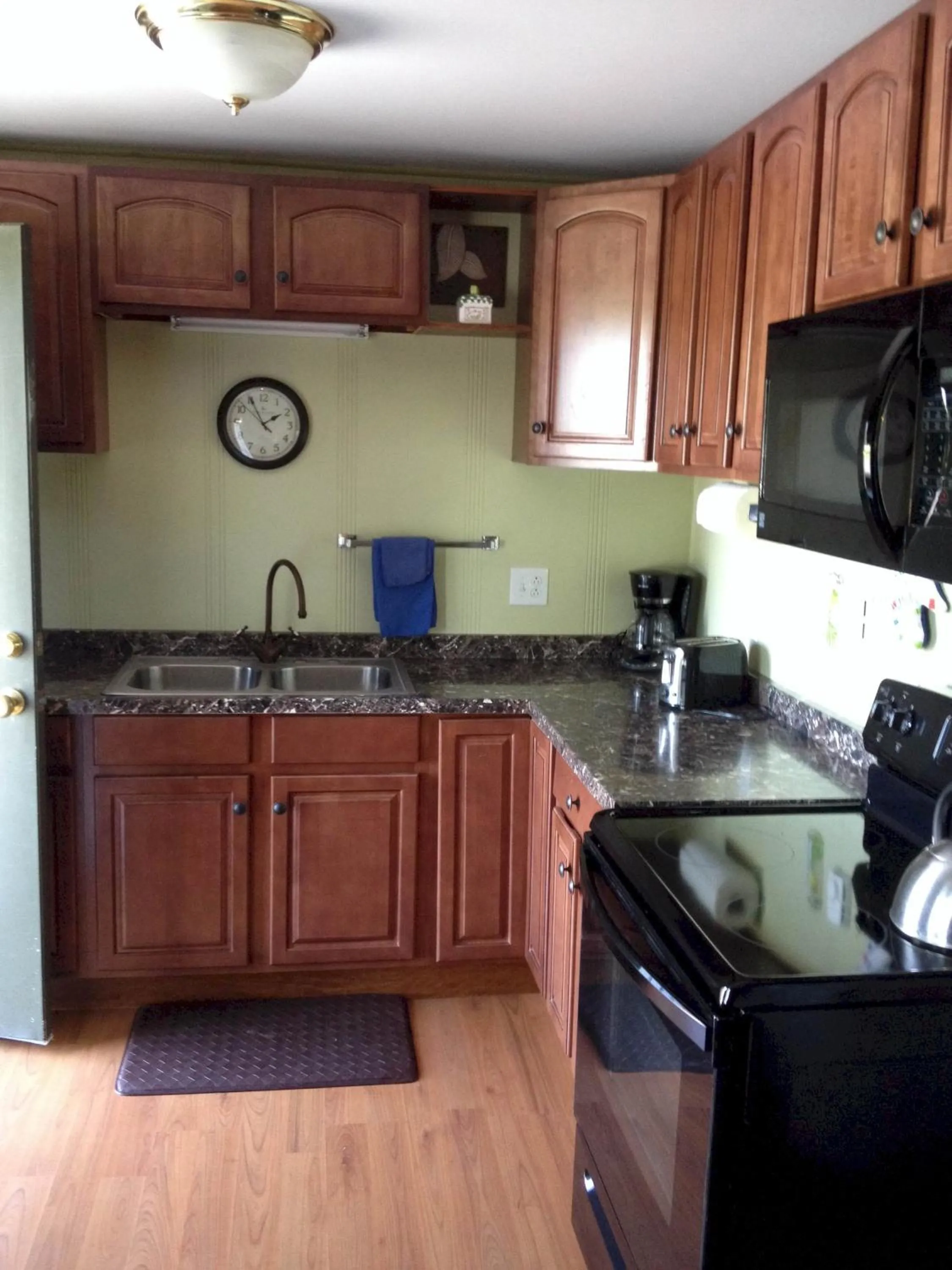 Kitchen or kitchenette in Lakeview Motel & Apartments
