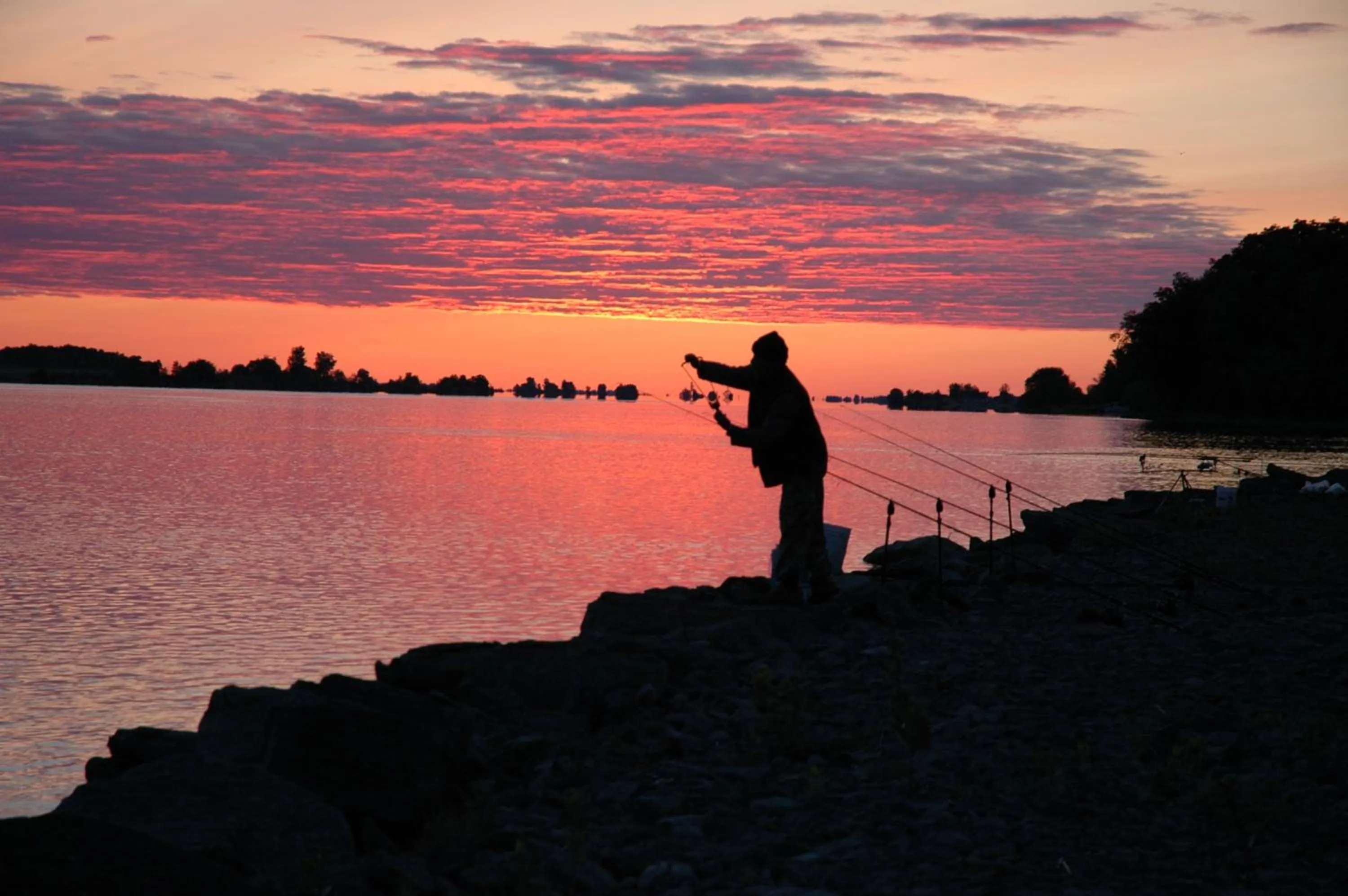 Summer in Lakeview Motel & Apartments