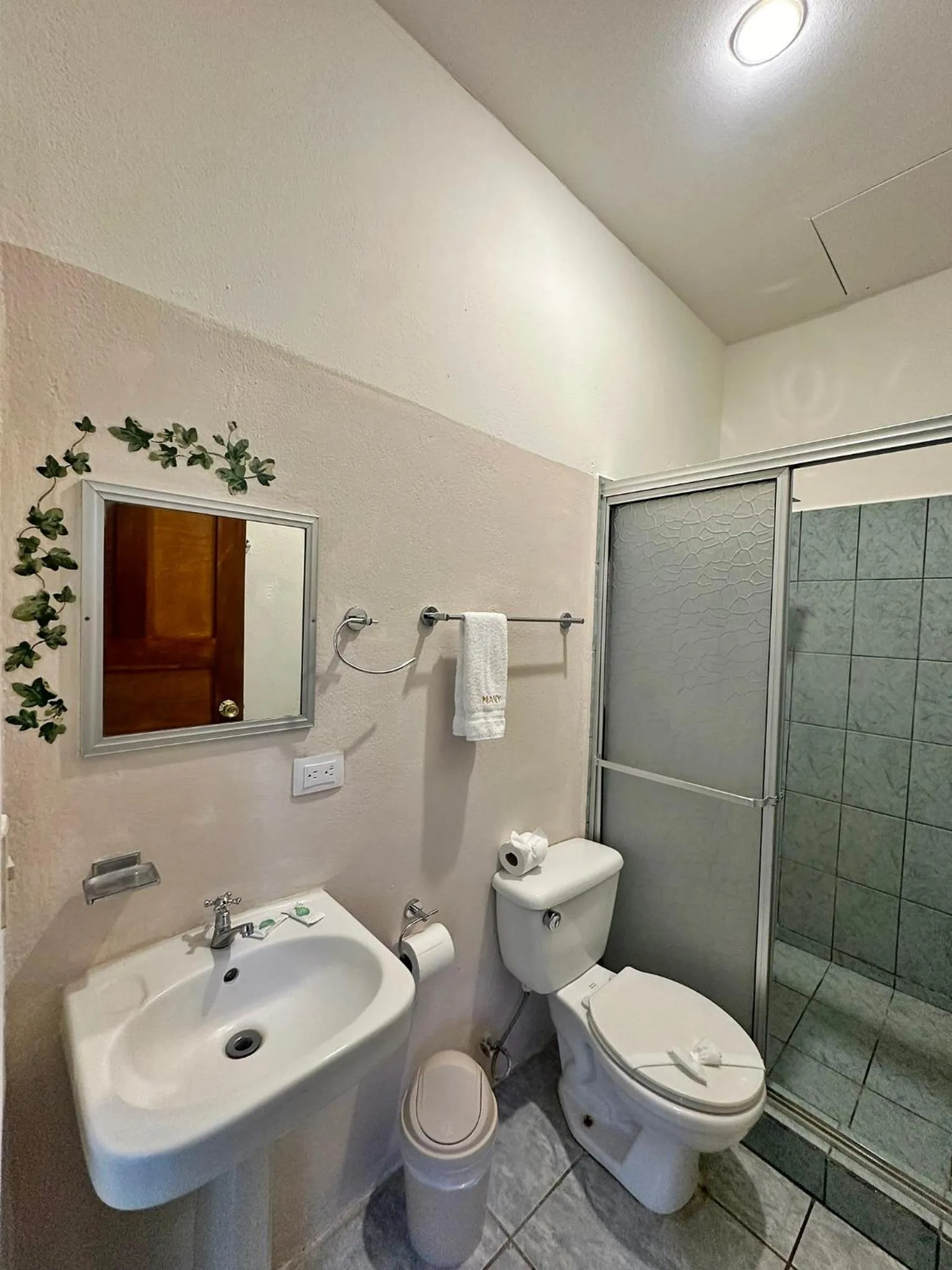 Shower in Hotel Nany