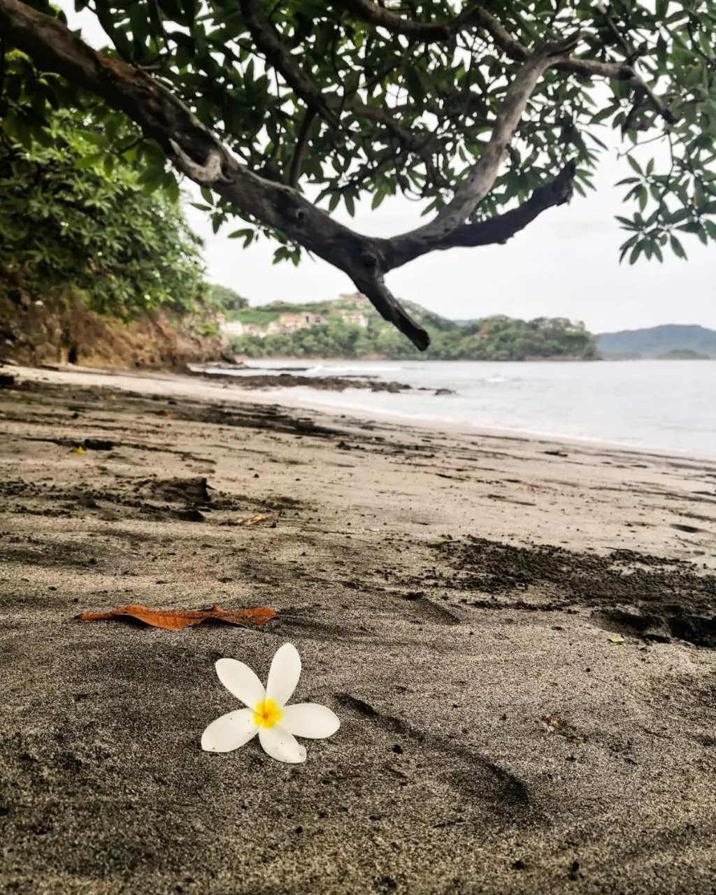 Nearby landmark in Hotel Nany