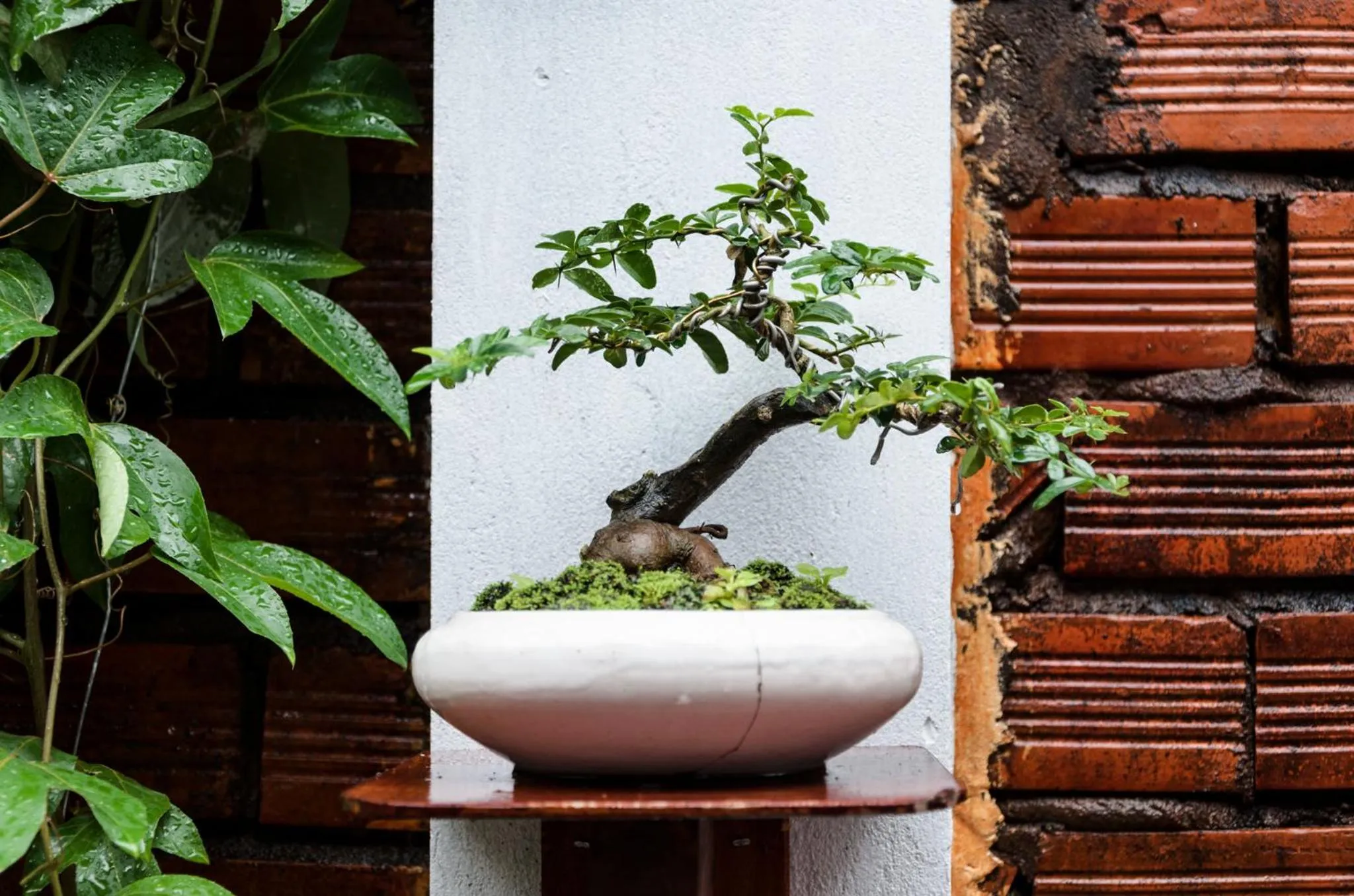 Garden in Ngoc Qui Bungalow