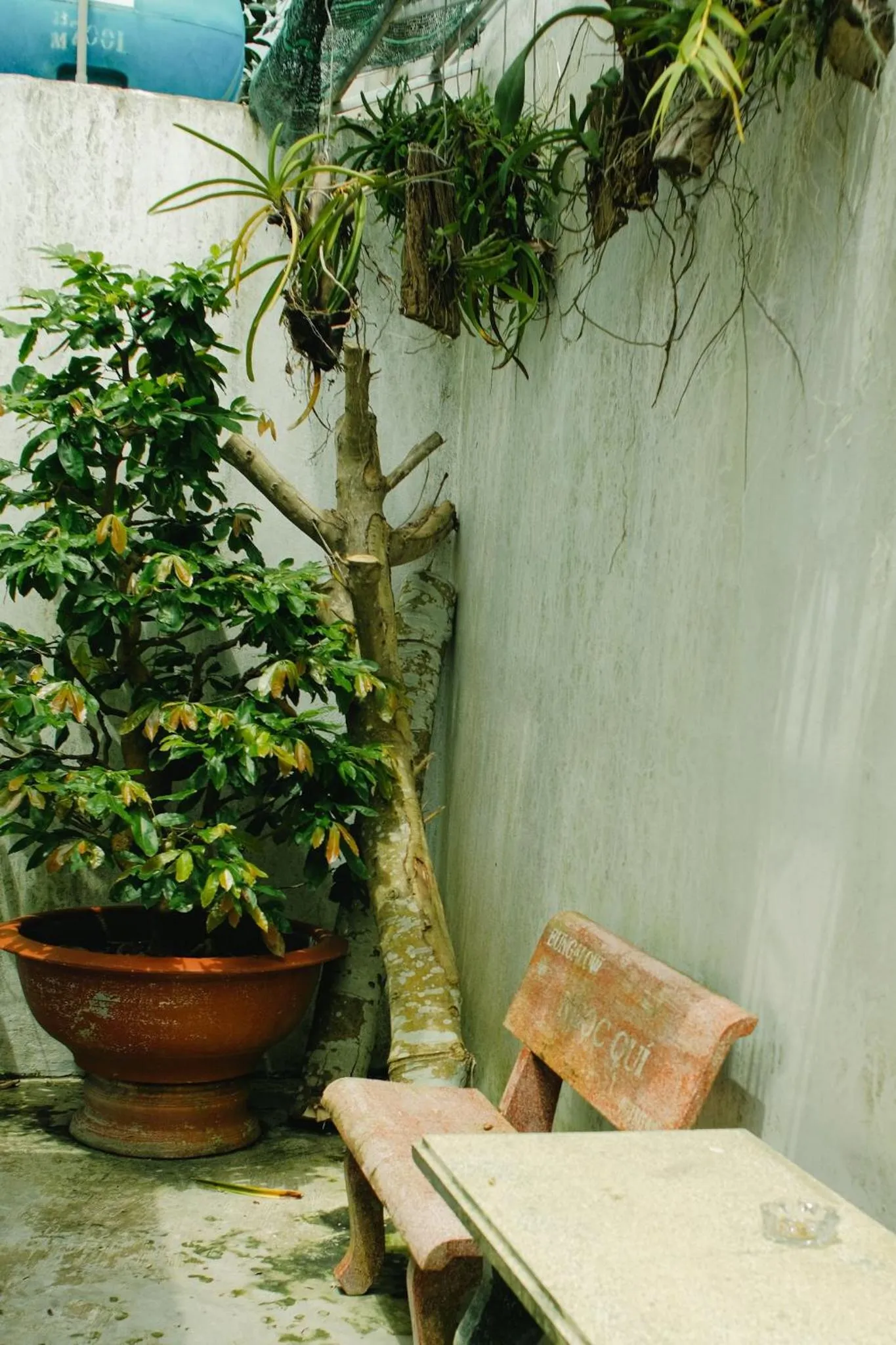 Balcony/Terrace in Ngoc Qui Bungalow