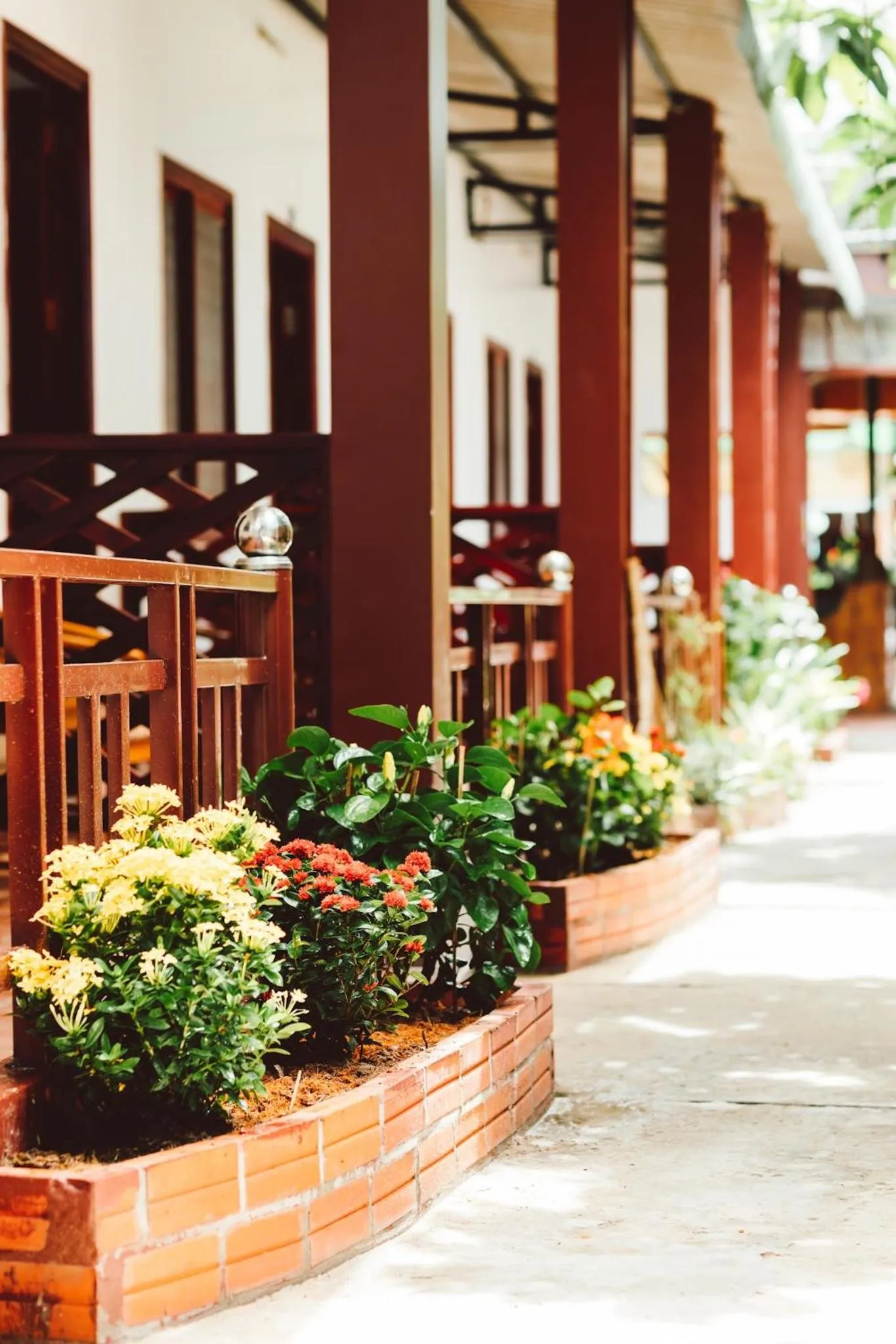 Garden in Ngoc Qui Bungalow