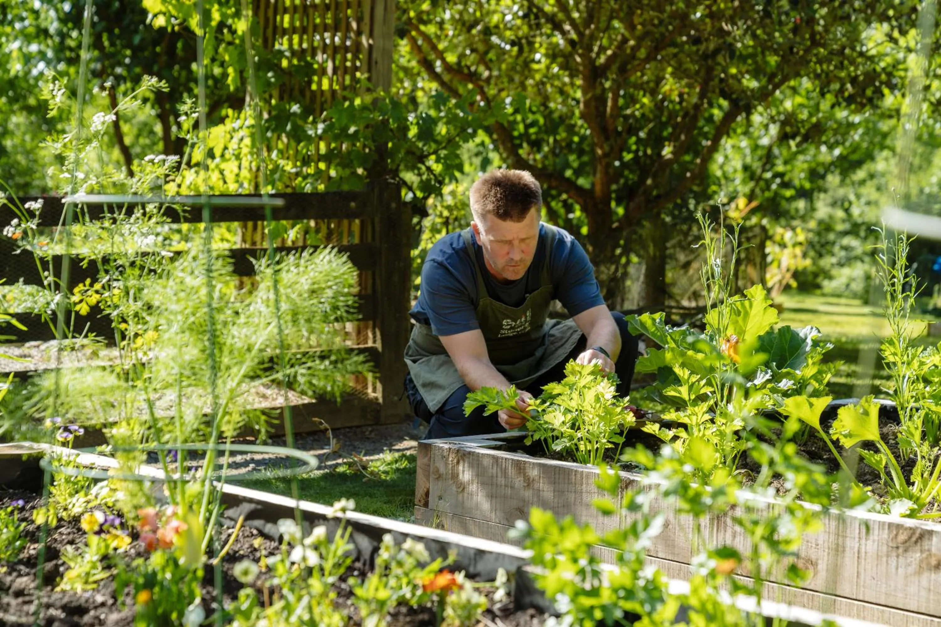 Garden in Stonefly Lodge