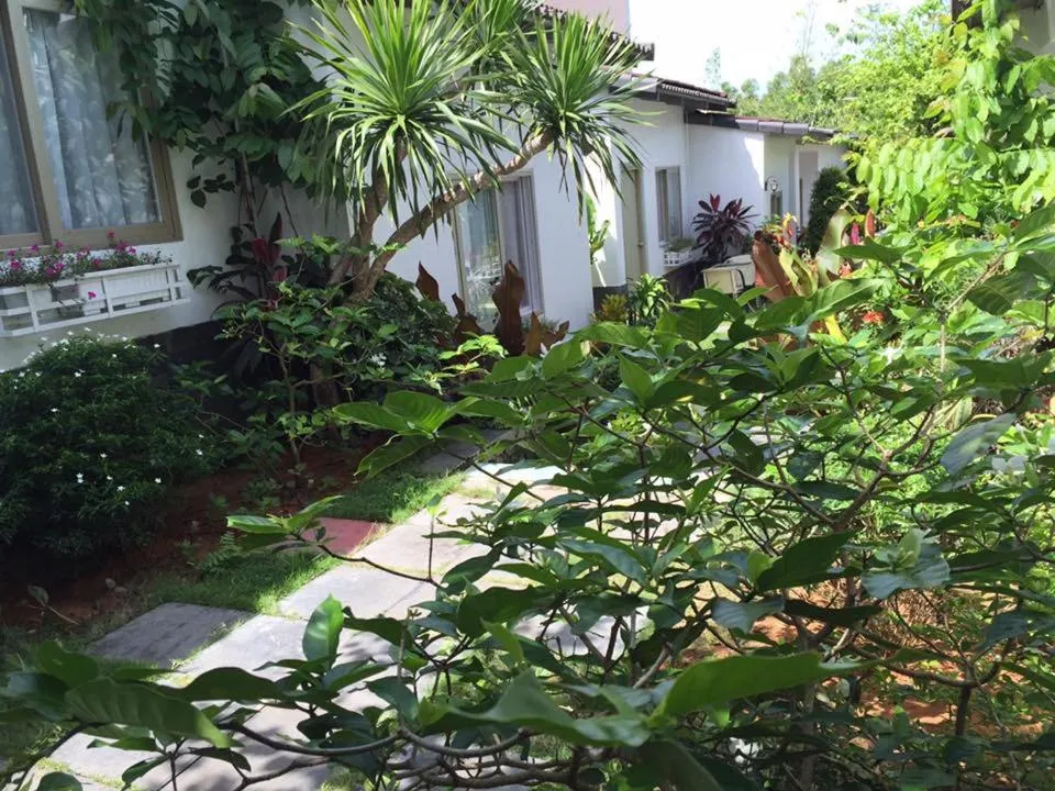 Garden in Sunshine Bungalow