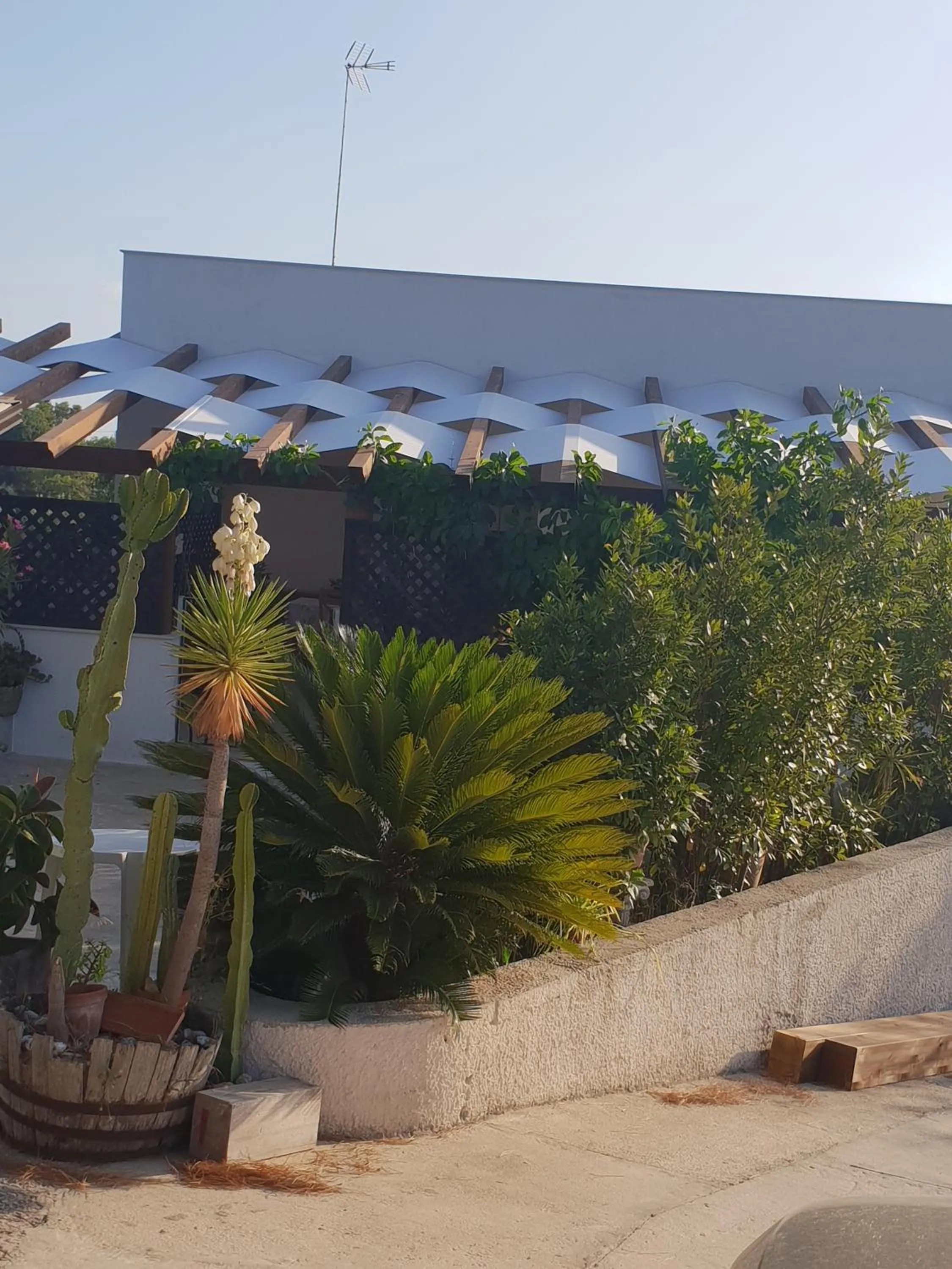 Garden in Teodora House