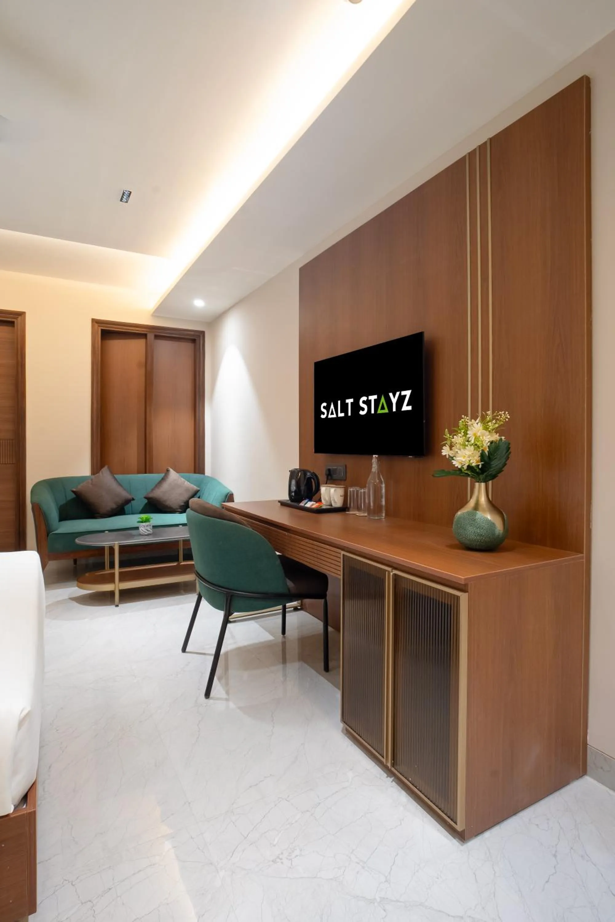 TV and multimedia in Saltstayz Premier - Naraina, Central Delhi