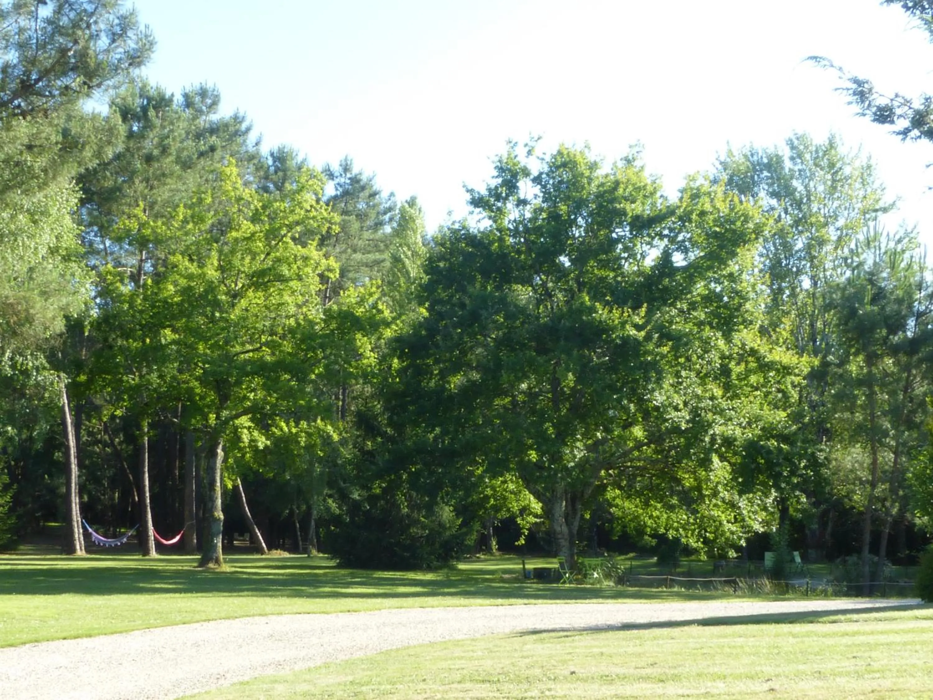 Table tennis in Les Pins Perdus