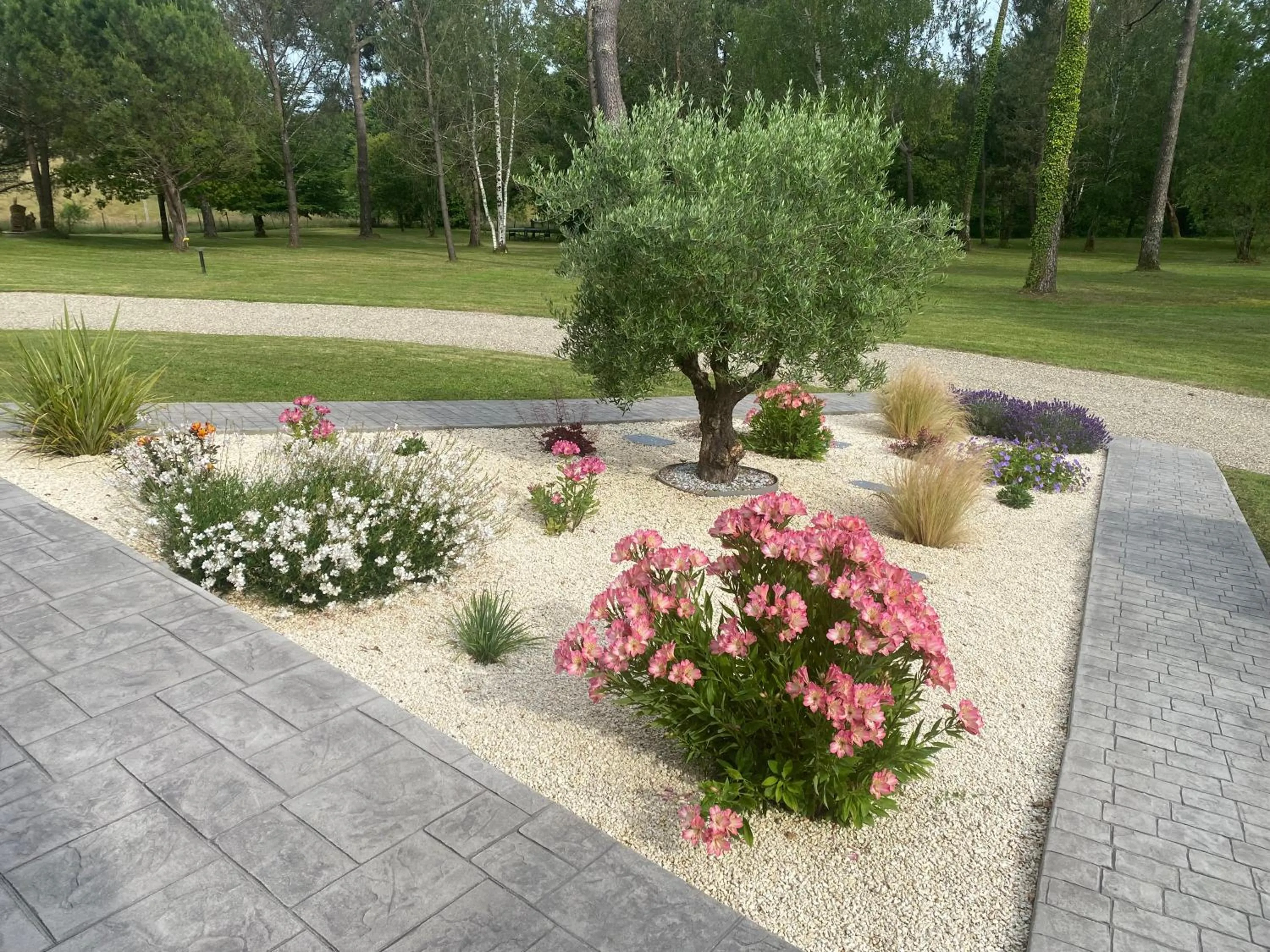 Summer in Les Pins Perdus