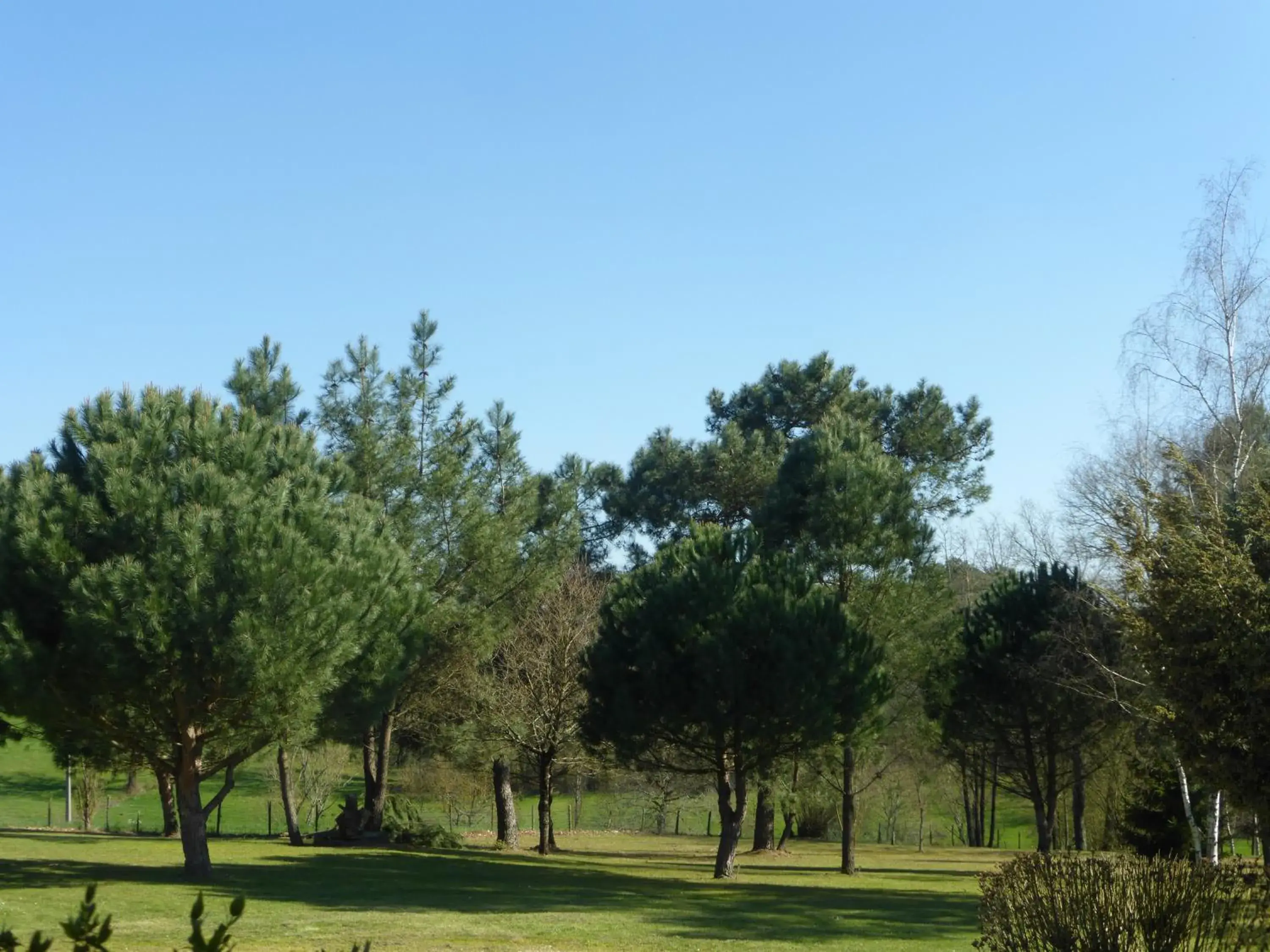 Classic Double Room in Les Pins Perdus Classic Double Room in Les Pins Perdus