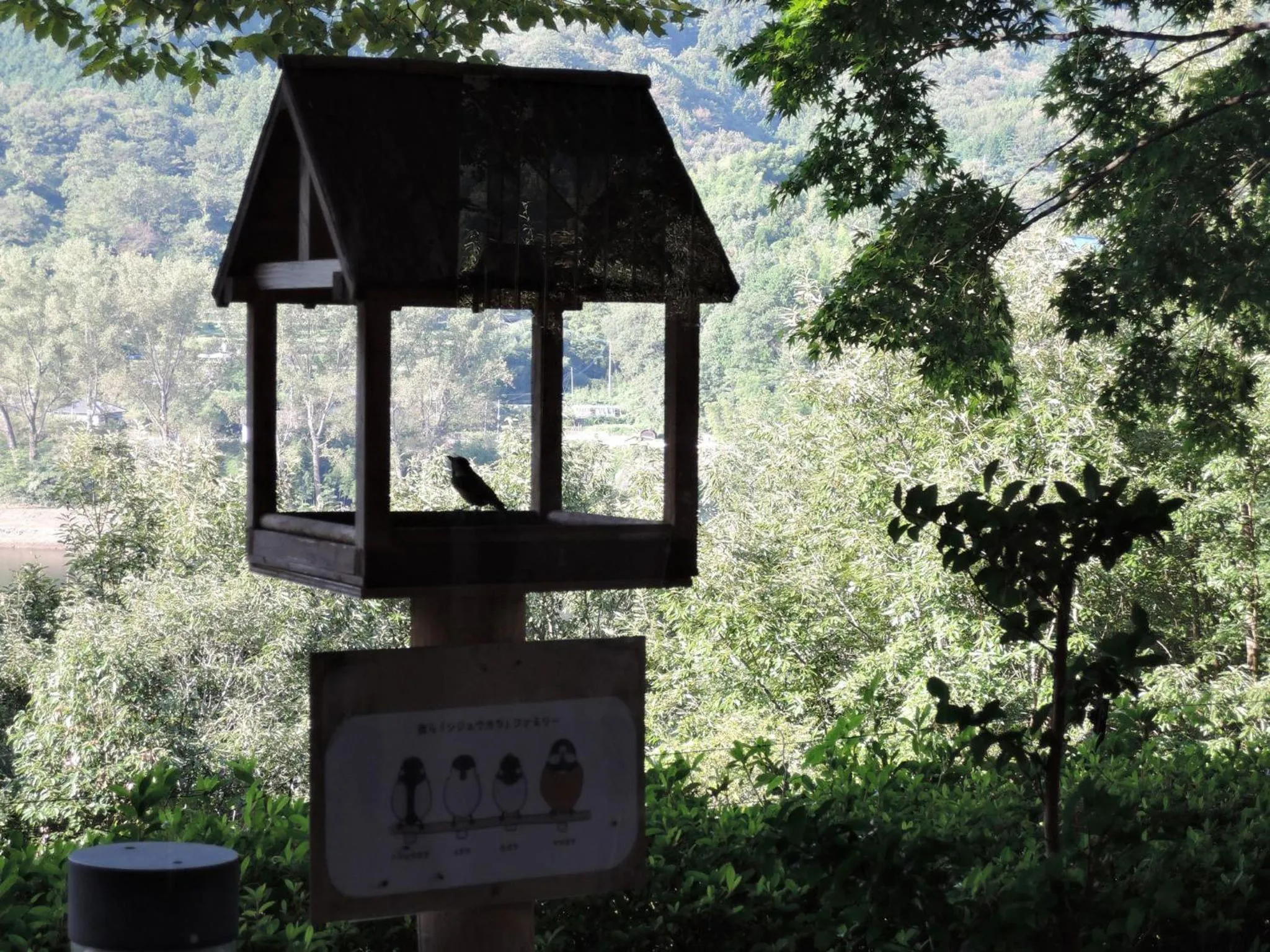 Other in Hotel Second Stage