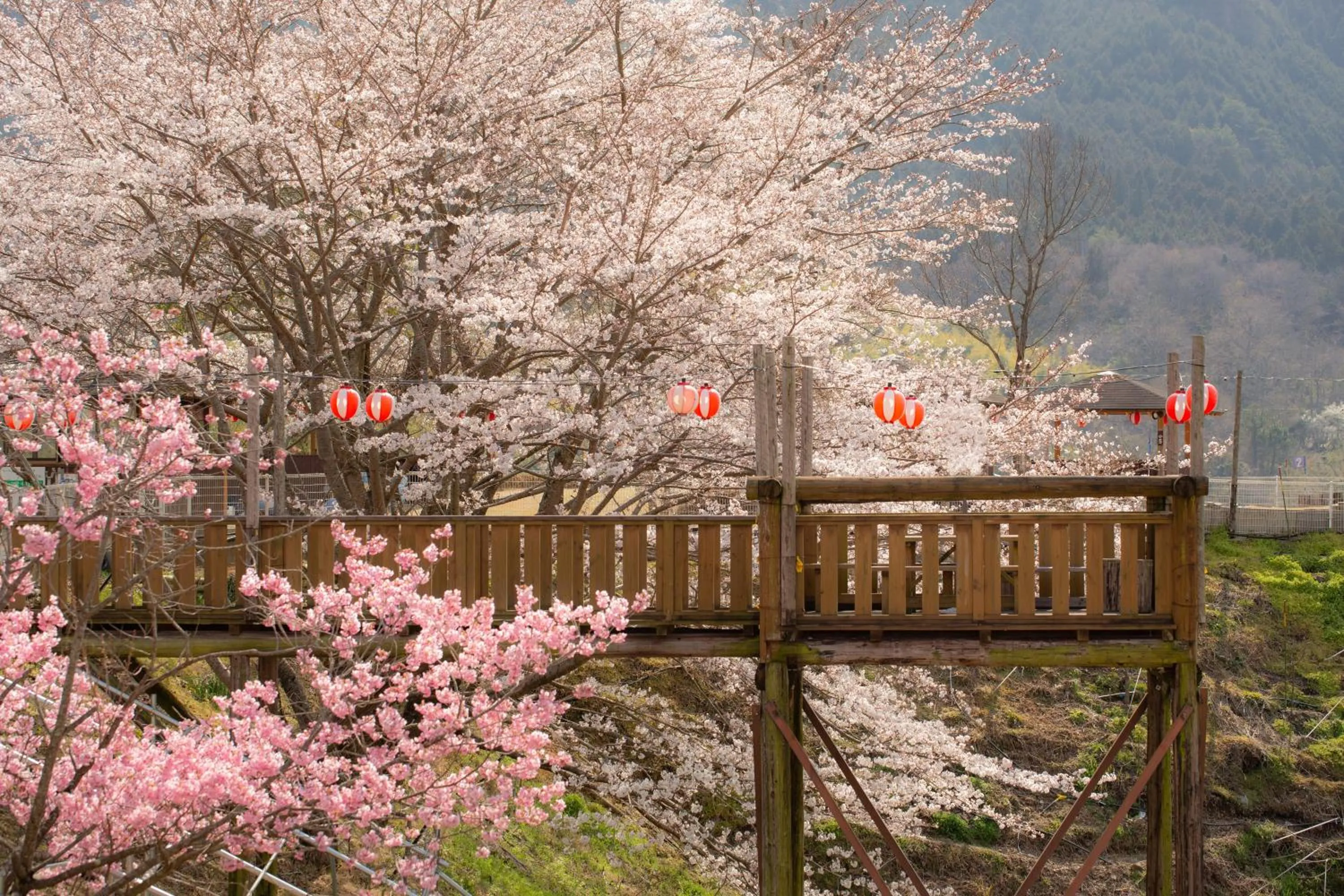 Area and facilities in Hotel Second Stage