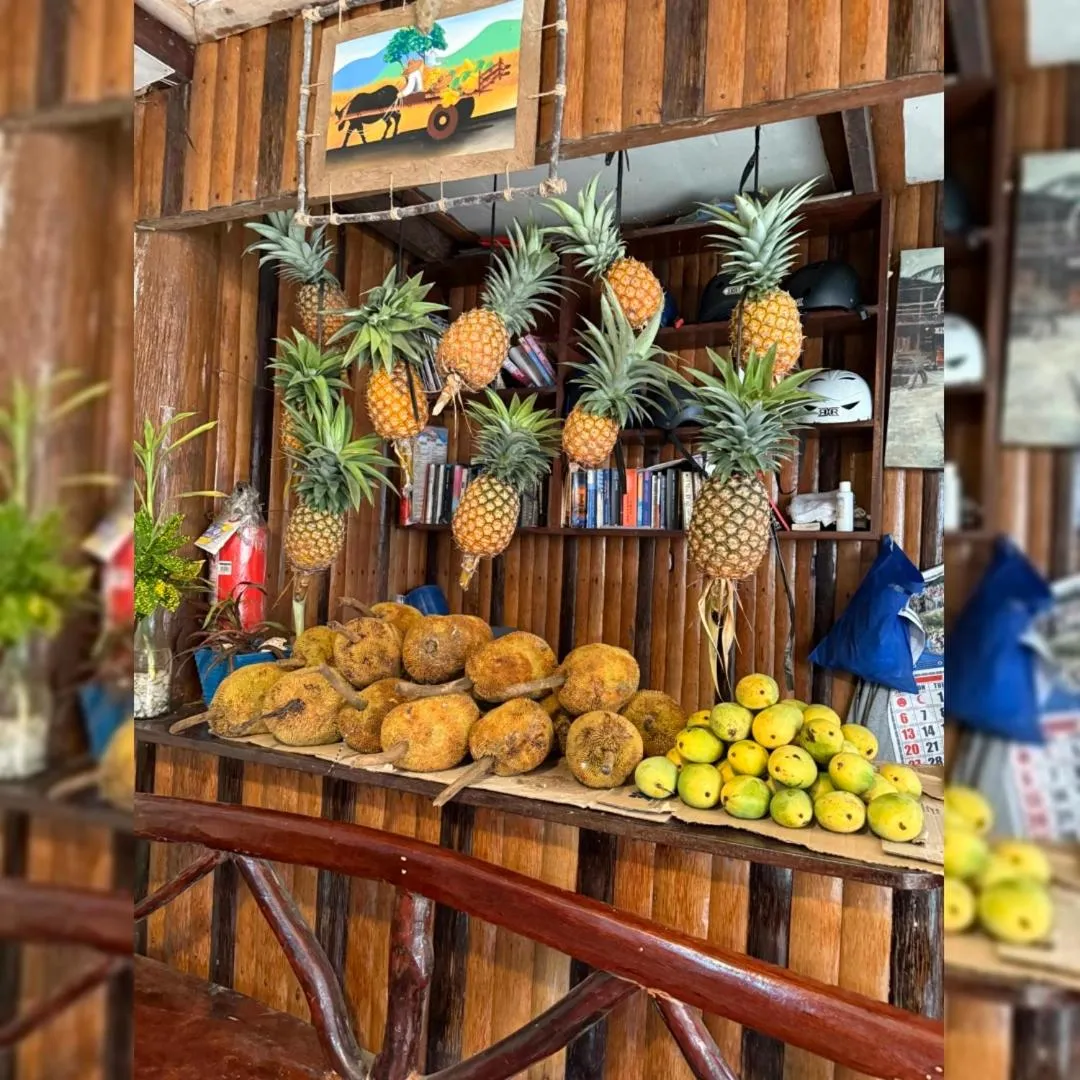 Victoria Beach House