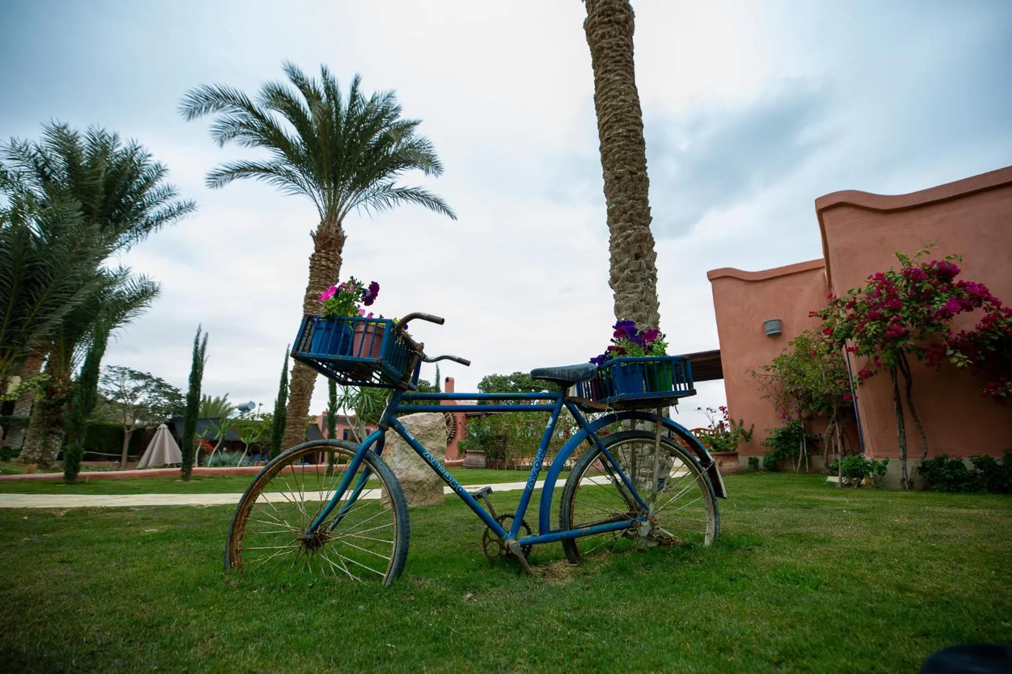Garden in Lazib Inn Resort & Spa