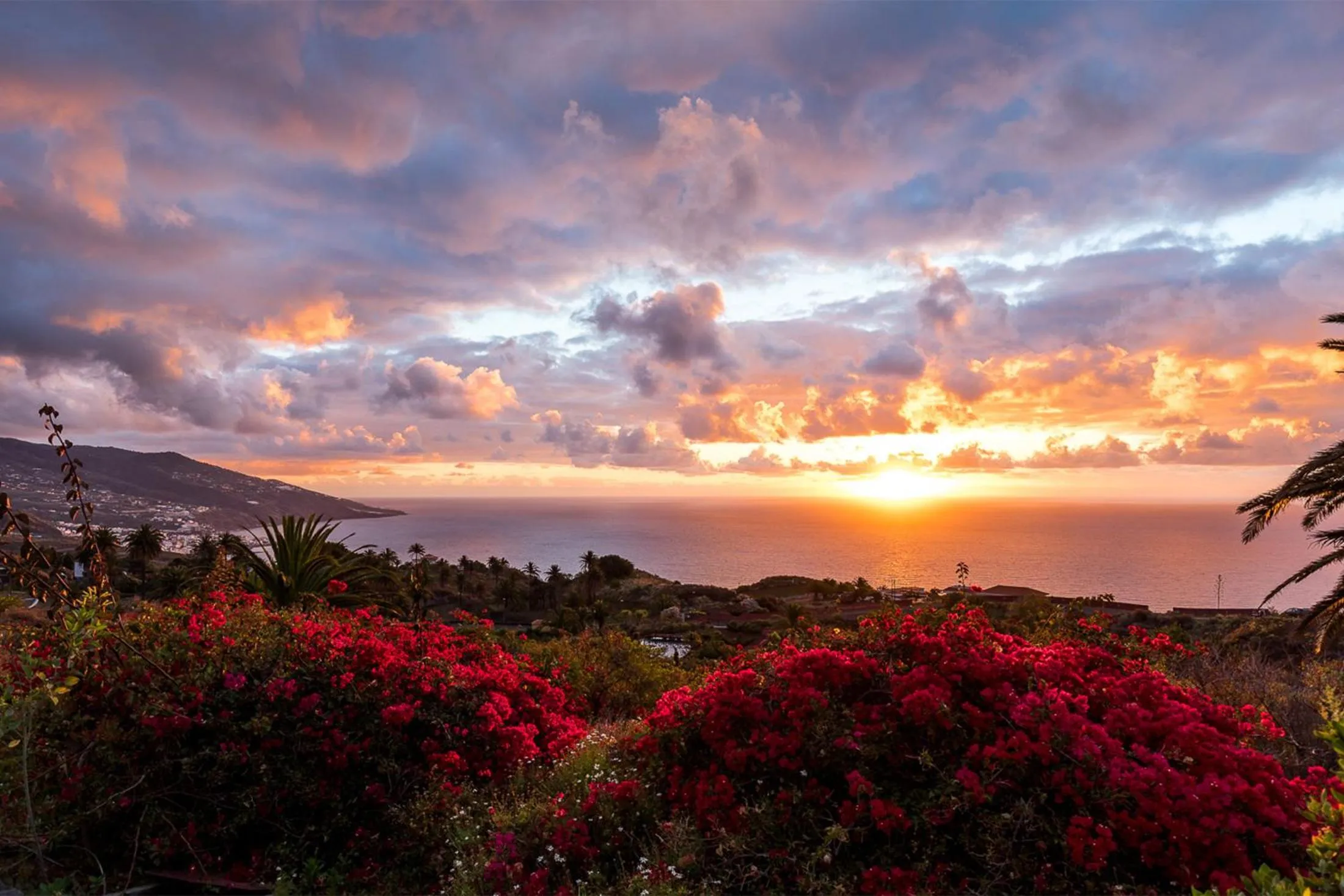 Off site in Parador de La Palma