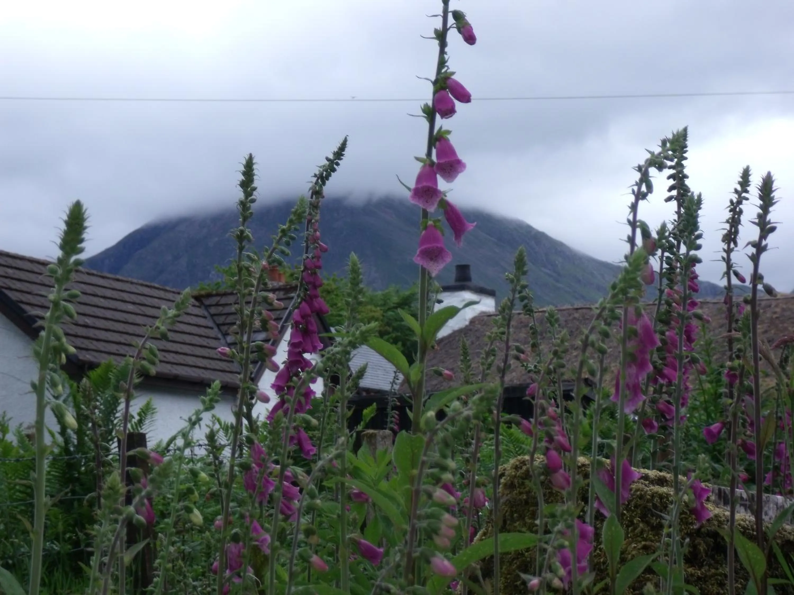 Natural landscape in Beechwood Cottage B&B