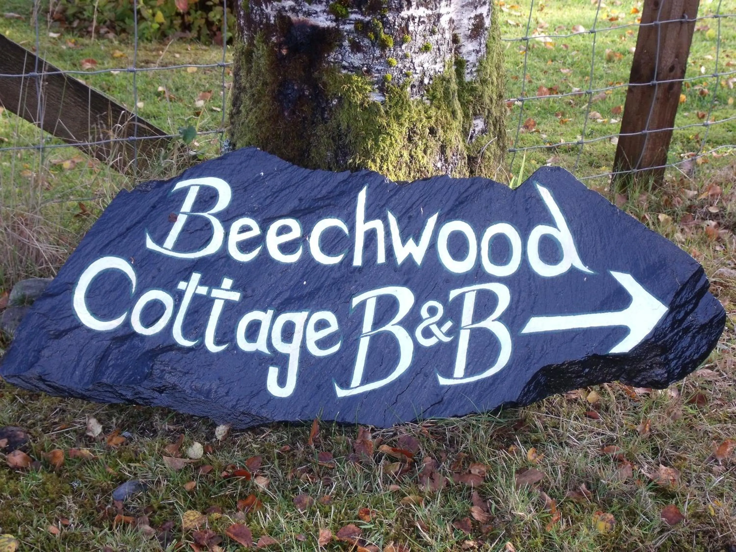 Day in Beechwood Cottage B&B