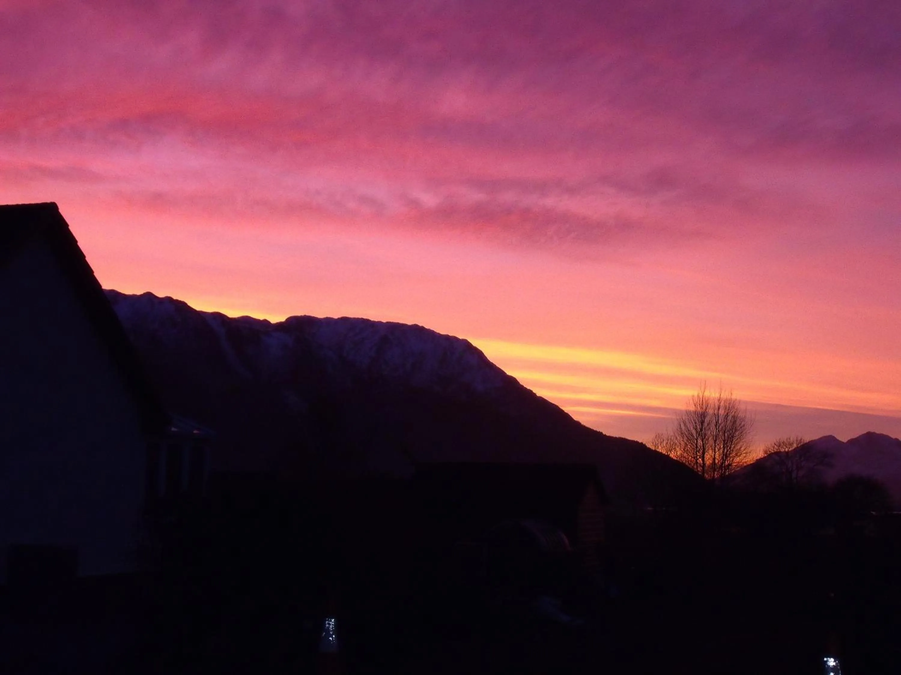 Natural landscape in Beechwood Cottage B&B