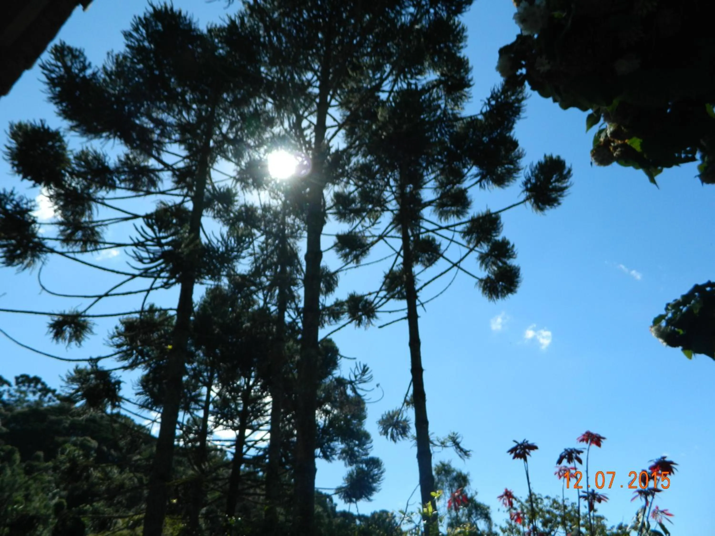 Day in Pousada Bella Ana