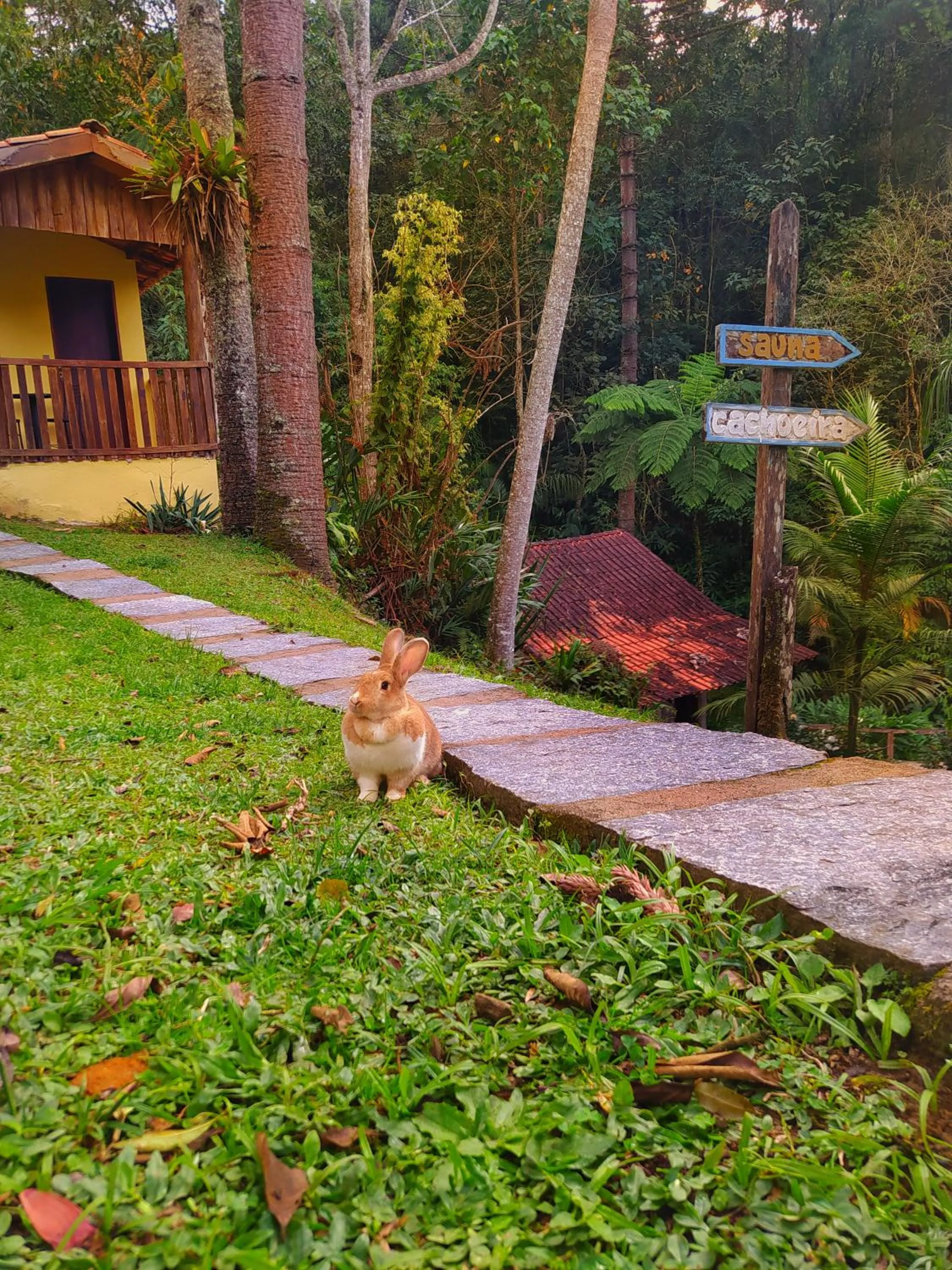 Natural landscape in Pousada Bella Ana