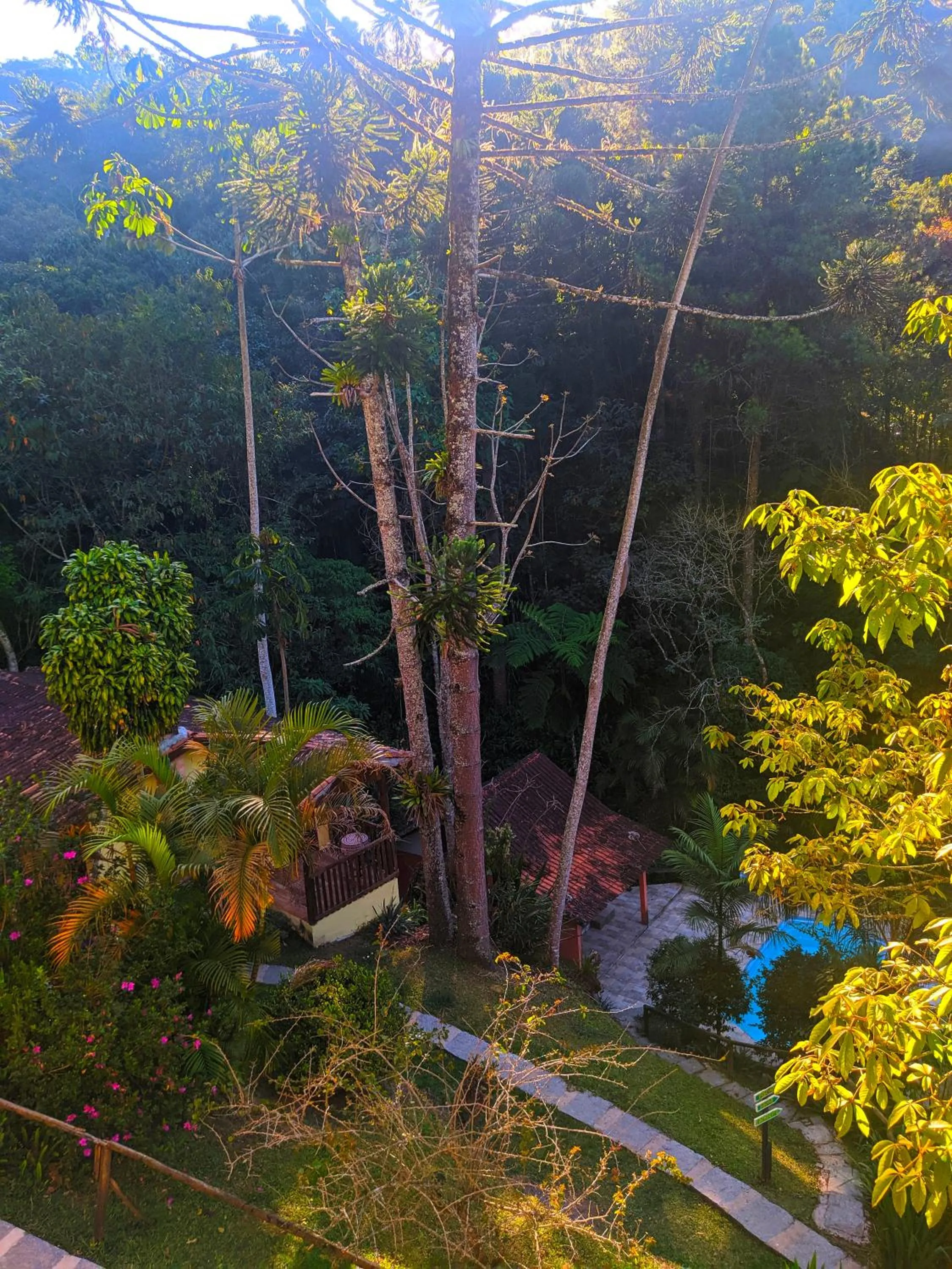 Garden view in Pousada Bella Ana