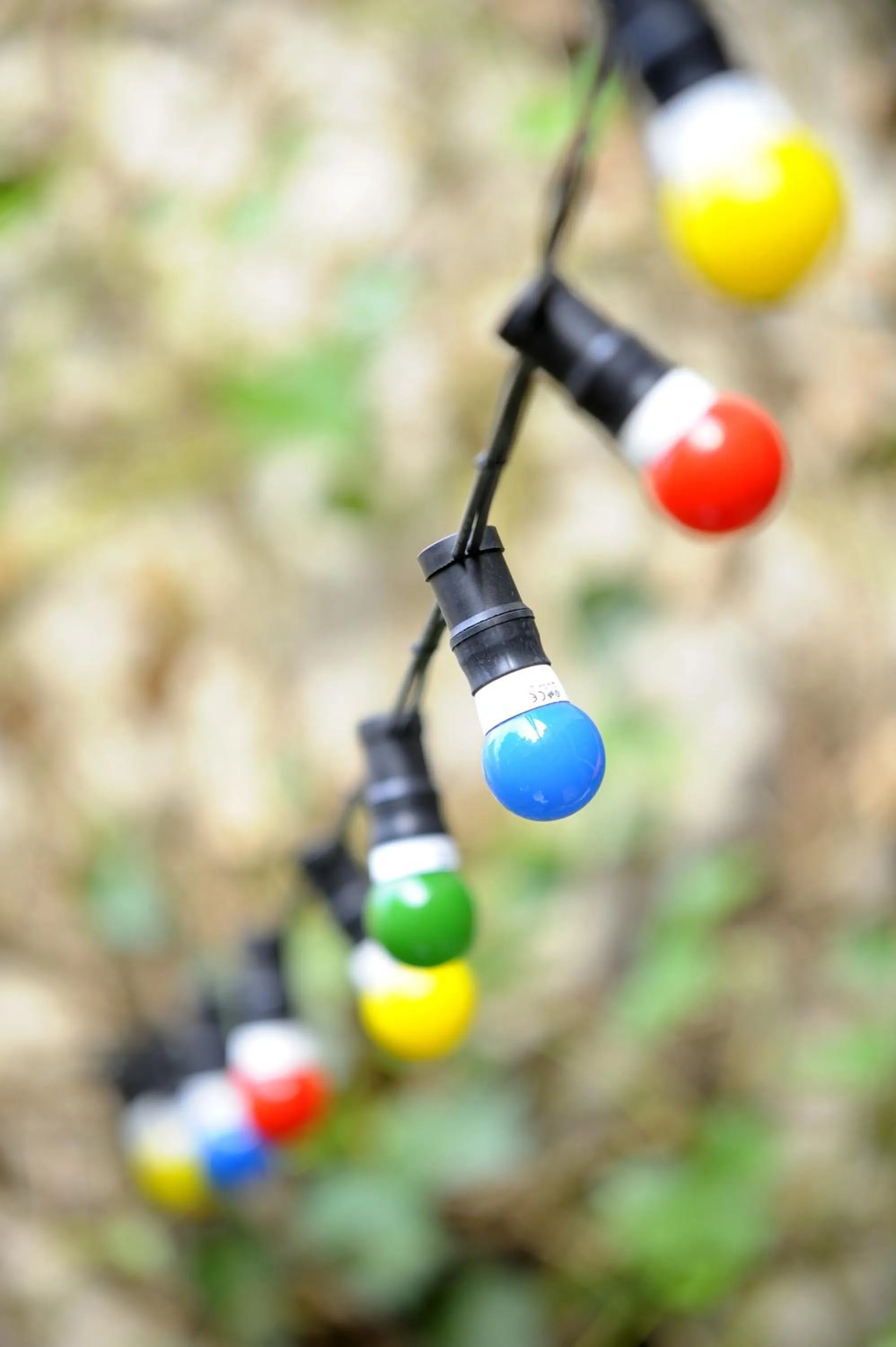 Garden in Solar Hotel